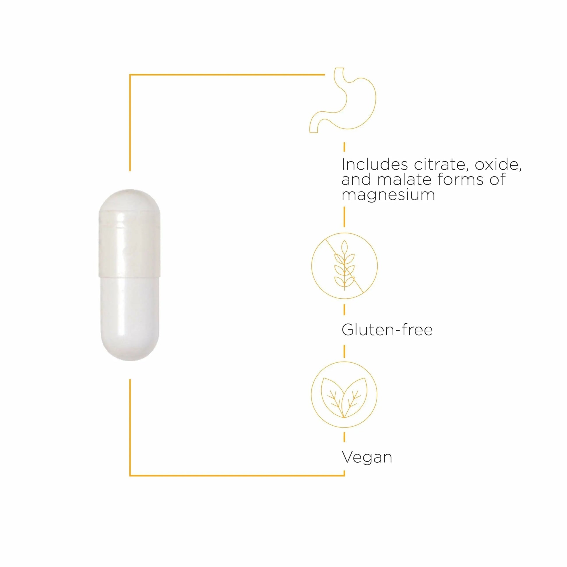 Integrative Therapeutics Tri-Magnesium - Supports Cellular Energy & Energy Metabolism* - Magnesium Supplement for Heart & Nerve Health Support* - Third-Party Tested - 90 Capsules (90 Servings) Integrative Therapeutics Au supplements