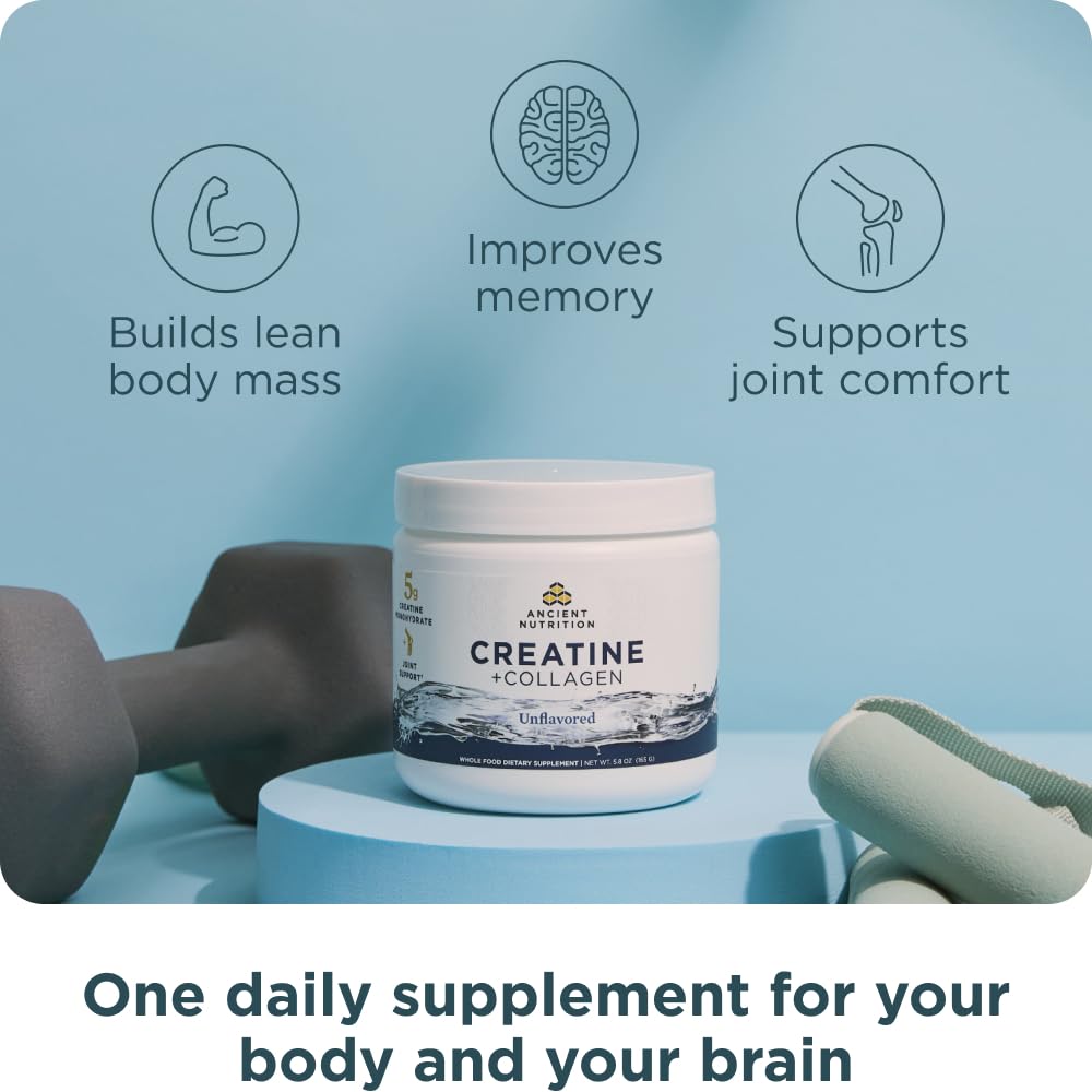 Ancient Nutrition Creatine + Collagen – Muscle Strength, Lean Body Mass, Joint Comfort & Cognitive Support – Includes 5g Creatine Monohydrate for Women, 30 Servings Ancient Nutrition Au supplements