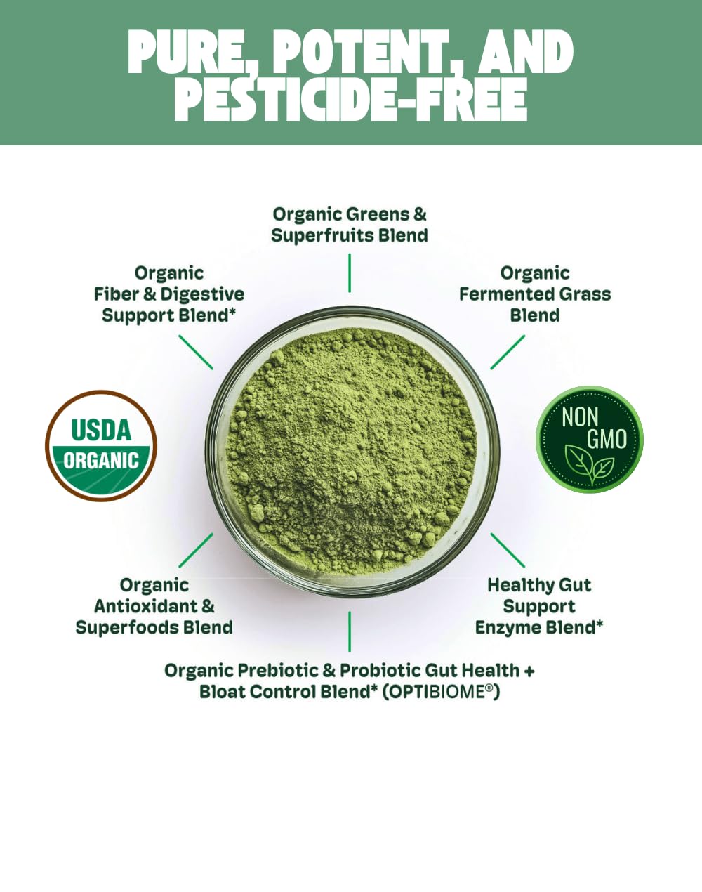 Cheerific Green Apple Bliss Superfood Powder - 20+ Organic Superfoods + Prebiotic & Probiotics + More - Keto Friendly - Supports Positive Mood, Gut Health - Vegan, Gluten Free, Non-GMO - 30 Day Supply Cheerific Au supplements