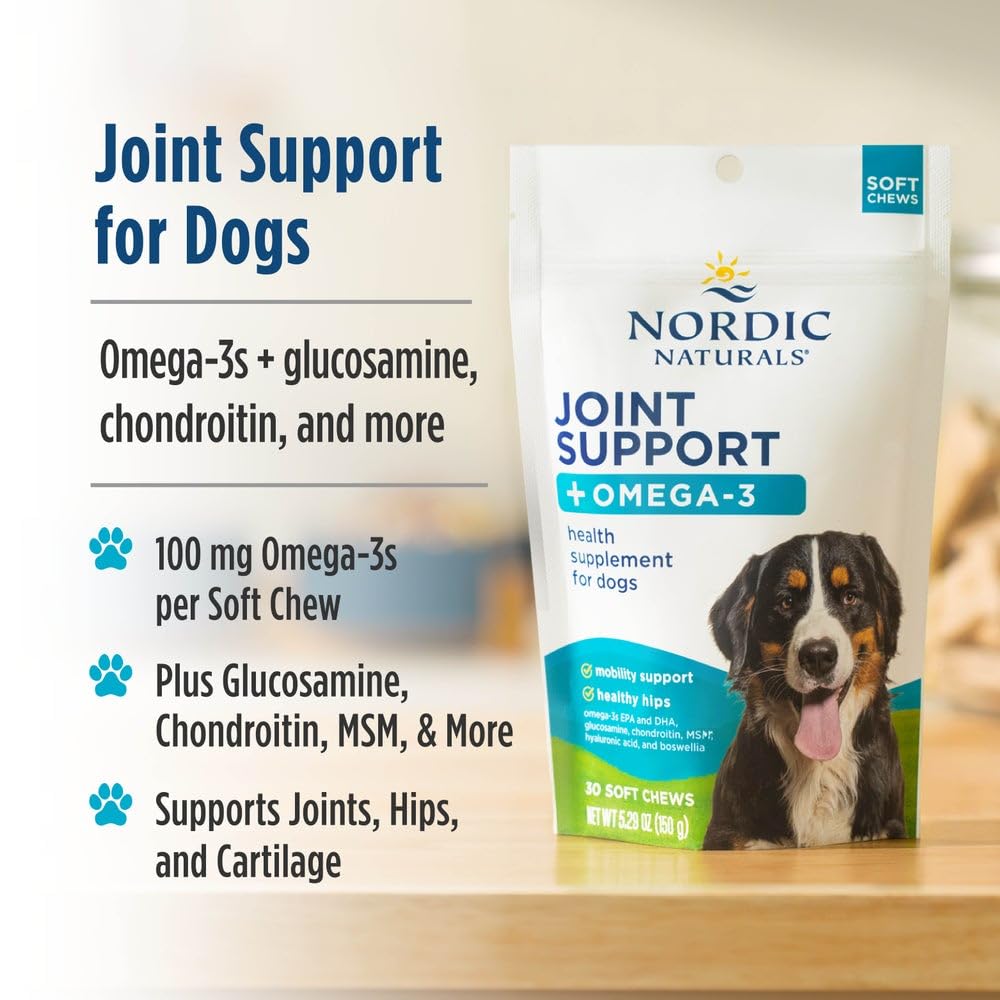 Nordic Naturals Pet Joint Support + Omega 3 Soft Chews for Dogs, Pork Bone Broth Flavored - Promotes Mobility, Hip and Joint Support with Omega-3 Fish Oil, MSM, EPA & DHA - 30 Non-GMO Chews Nordic Naturals Au supplements