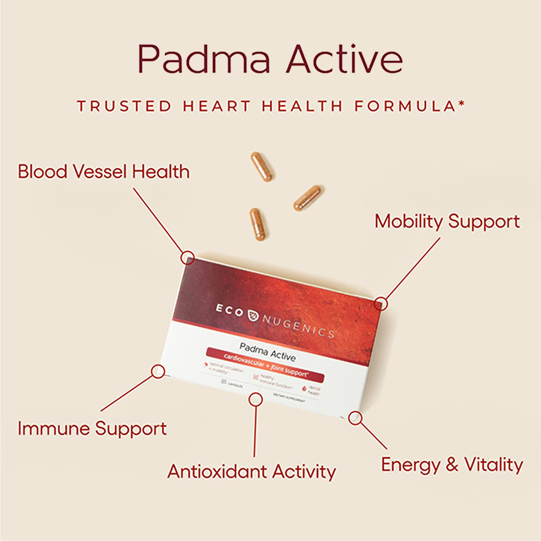 EcoNugenics Padma Active for Women & Men: Vitamin C Supplement for Collagen Formation, Energy Levels, and Immune System, Cellular & Antioxidant Support – Tibetan Recipe of Natural Herbs & Minerals EcoNugenics Au supplements