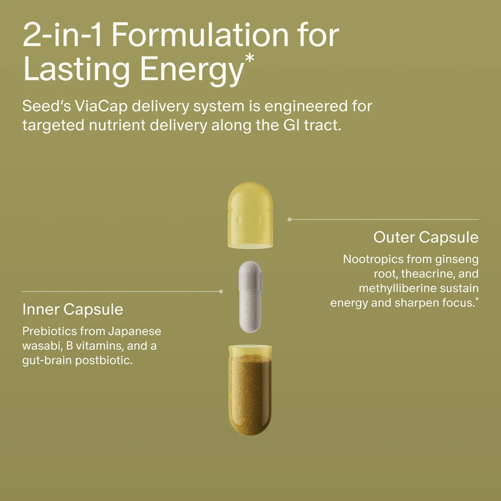 Seed AM-02 Energy + Focus - Daily Nootropic Supplement for Women & Men - Fast-Acting & Sustained Energy for Up to 6 Hours - Caffeine-Free Vegan & Shelf-Stable - 30 Capsules (30-Day Supply) Visit the Seed Store Au supplements