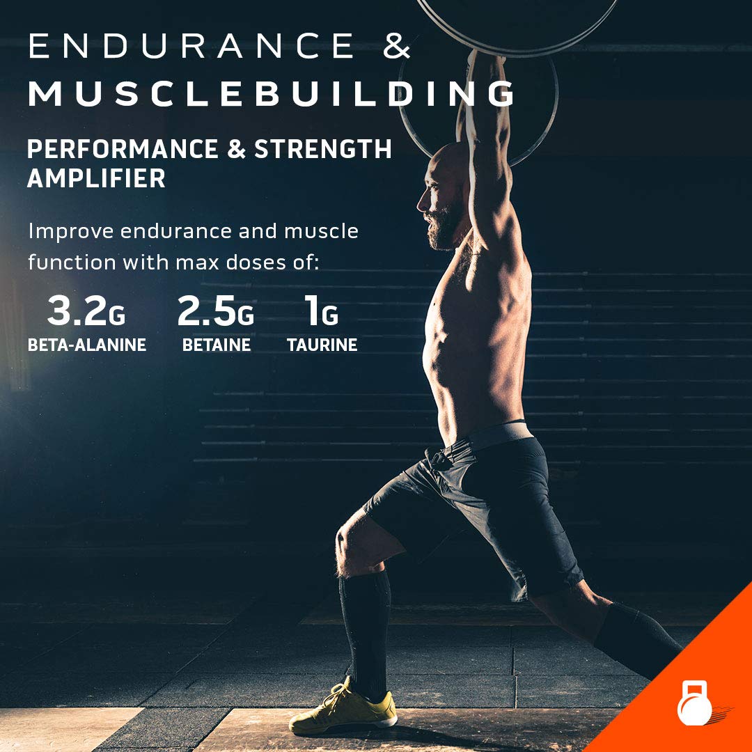 Pre Workout for Men & Women | MuscleTech Shatter Elite Pre-Workout | Preworkout Energy MuscleTech Au supplements
