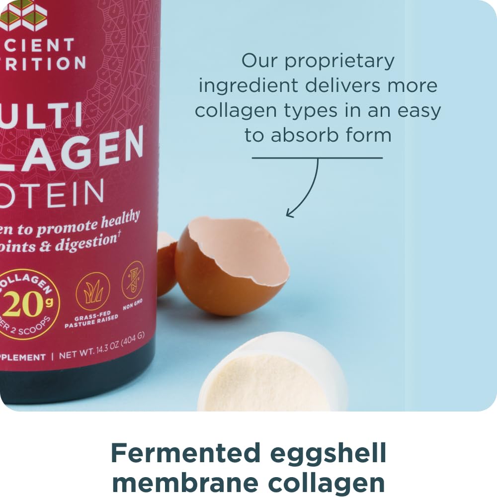 Ancient Nutrition Collagen Powder Protein with Probiotics, Unflavored Multi Collagen Protein with Vitamin C, 45 Servings, Hydrolyzed Collagen Peptides Supports Skin and Nails, Gut Health, 16oz Ancient Nutrition Au supplements