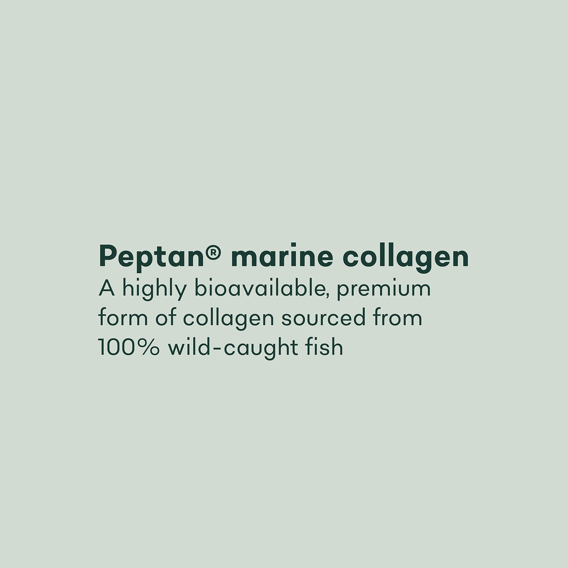 Pure Collagen Tablets - High Strength 1000mg Peptan Marine Collagen Supplements - Collagen Powder Project Nutrition Au supplements