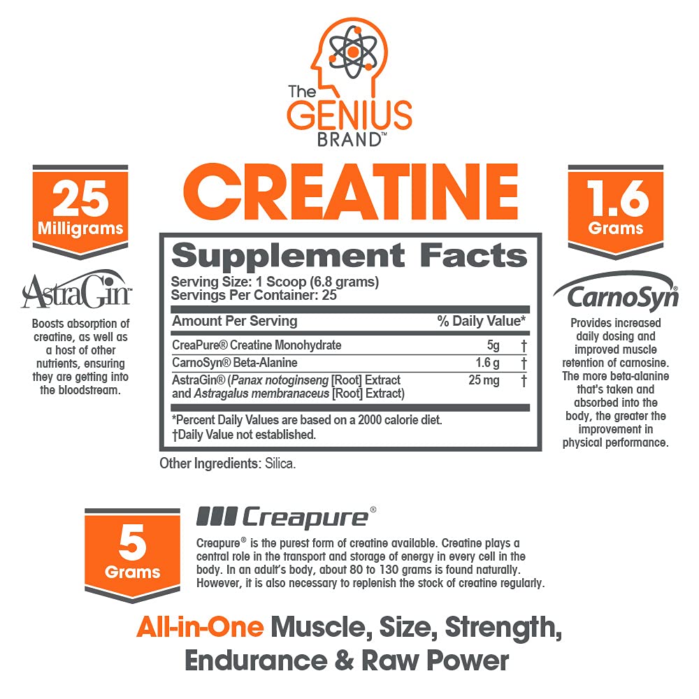 Genius Pre Workout Powder, Blue Razz, and Genius Micronized Creatine Monohydrate The Genius Brand Au supplements