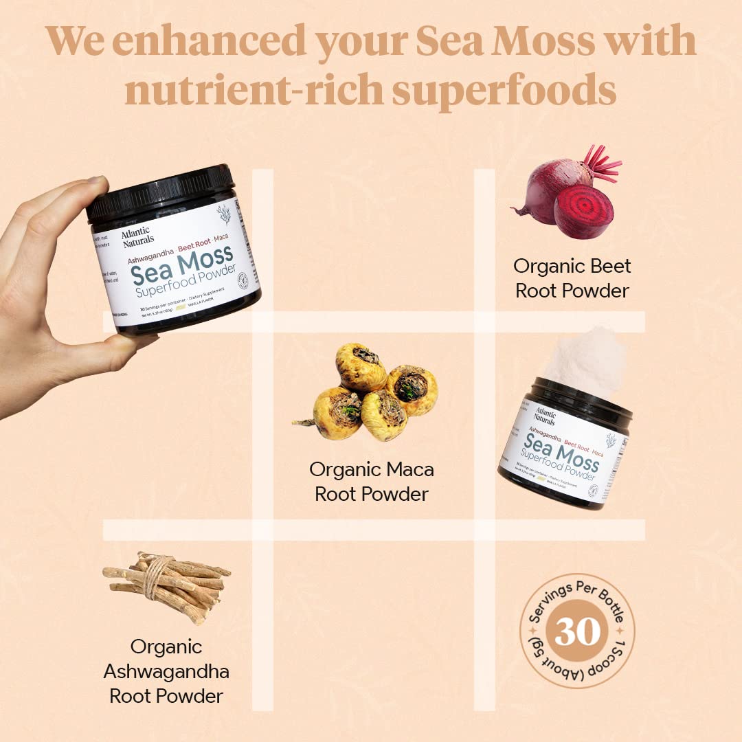 Organic Sea Moss Superfood Powder with Ashwagandha, Beet Root, and Maca Atlantic Naturals Au supplements