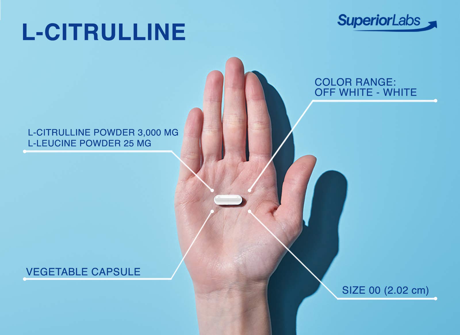 Superior Labs – Pure L-Citrulline – Free Form – Optimal 3,000mg Dosage – 150 Vegetable Superior Labs Au supplements