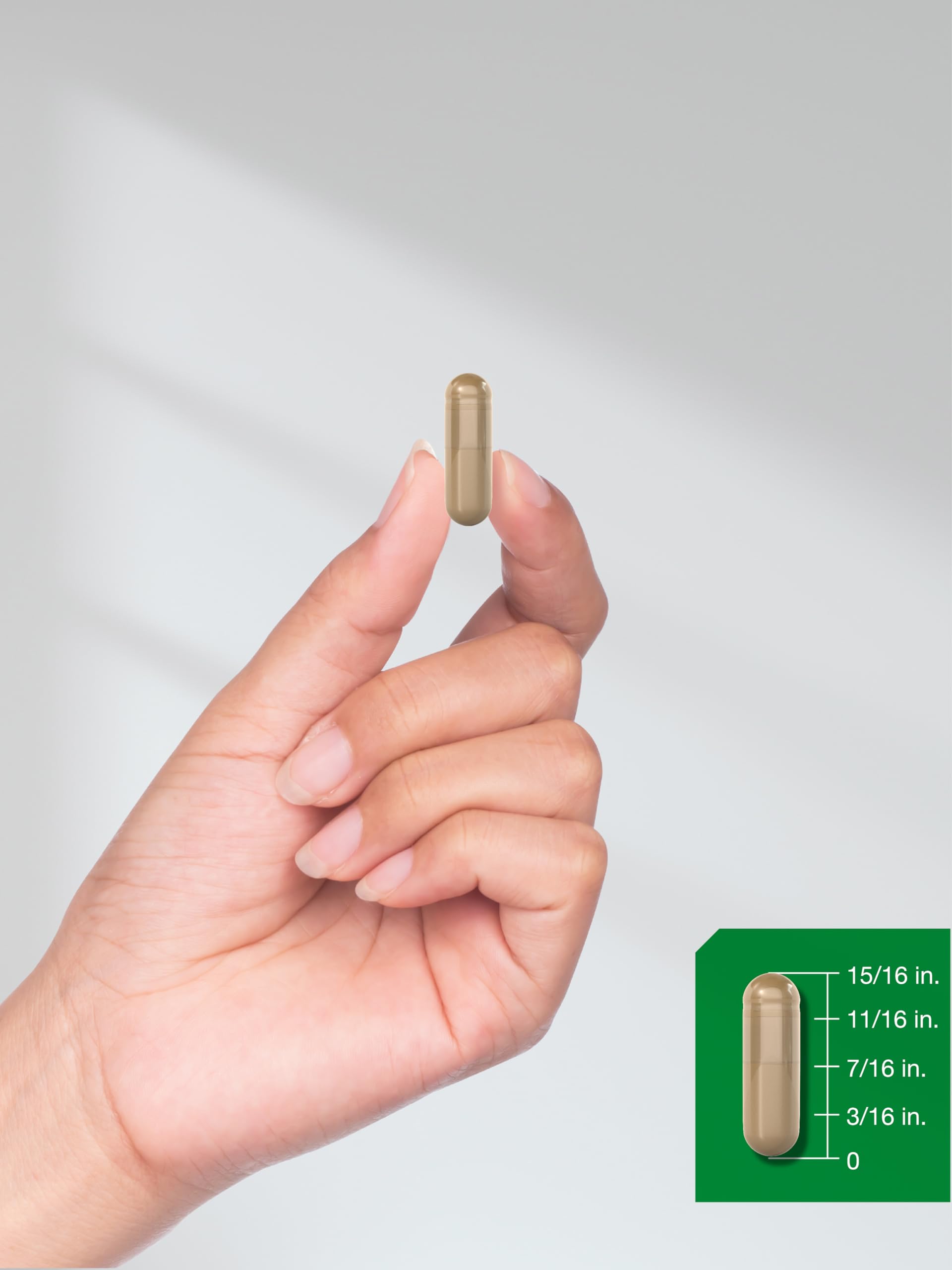 Ceylon Cinnamon Capsules | 6000 mg | 150 Count | Non-GMO & Gluten Free Supplement Horbäach Au supplements