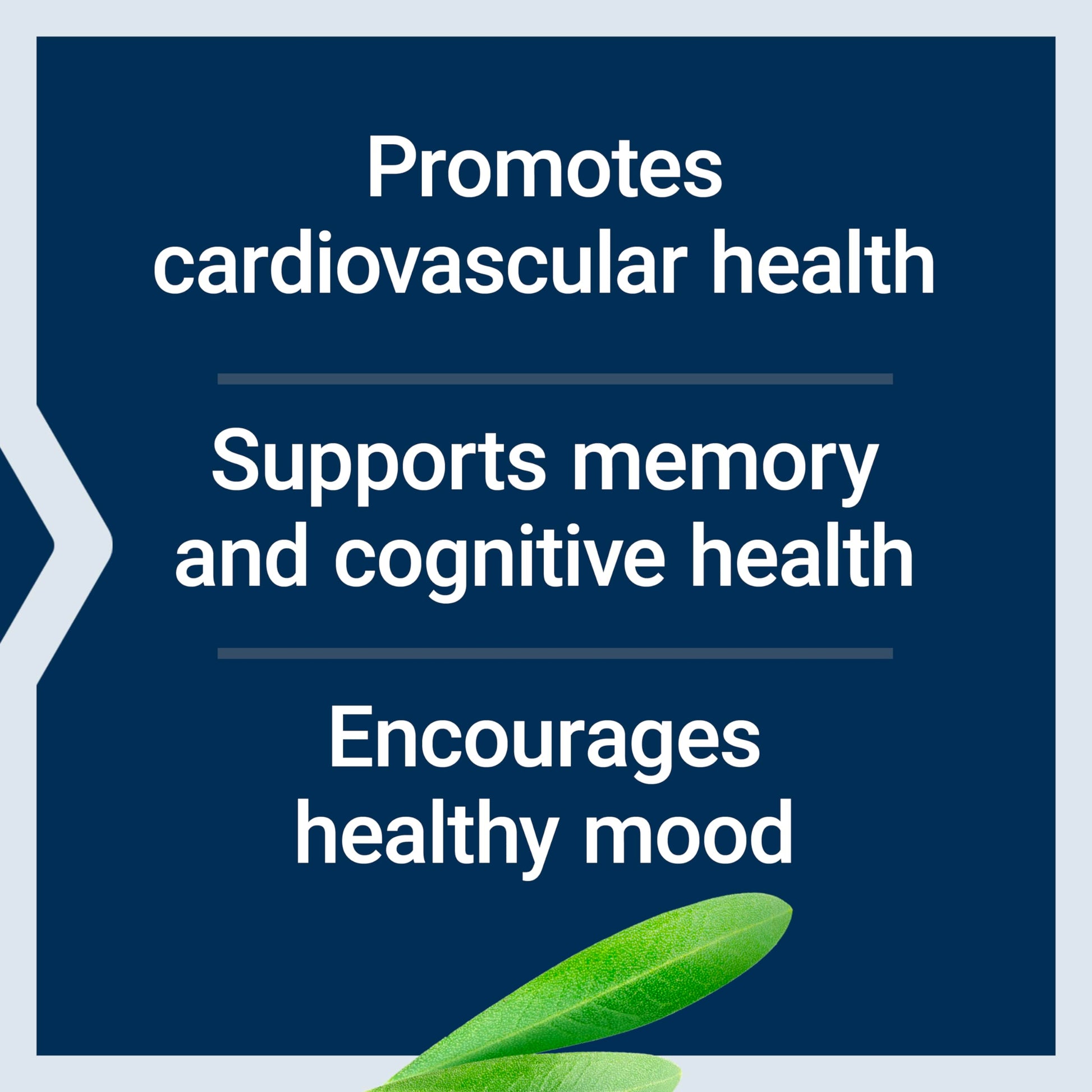 Life Extension Healthy Aging Powder, Healthy Aging Supplement, Heart Health, Brain Health, Exercise Performance, Taurine, Lithium, spermidine, Powder Blend, Non-GMO, Vegetarian, 30 Servings Life Extension Au supplements