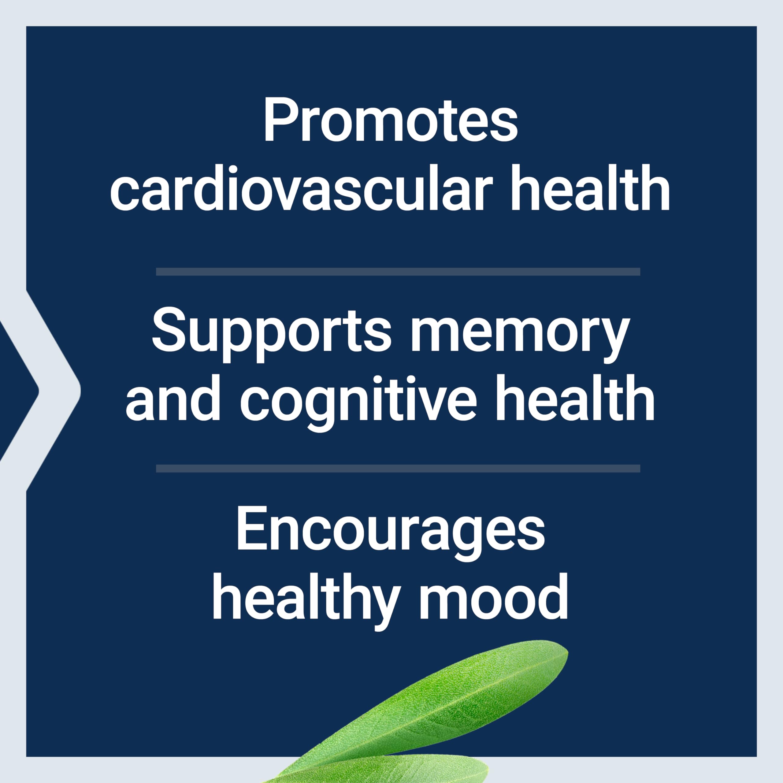 Life Extension Healthy Aging Powder, Healthy Aging Supplement, Heart Health, Brain Health, Exercise Performance, Taurine, Lithium, spermidine, Powder Blend, Non-GMO, Vegetarian, 30 Servings Life Extension Au supplements
