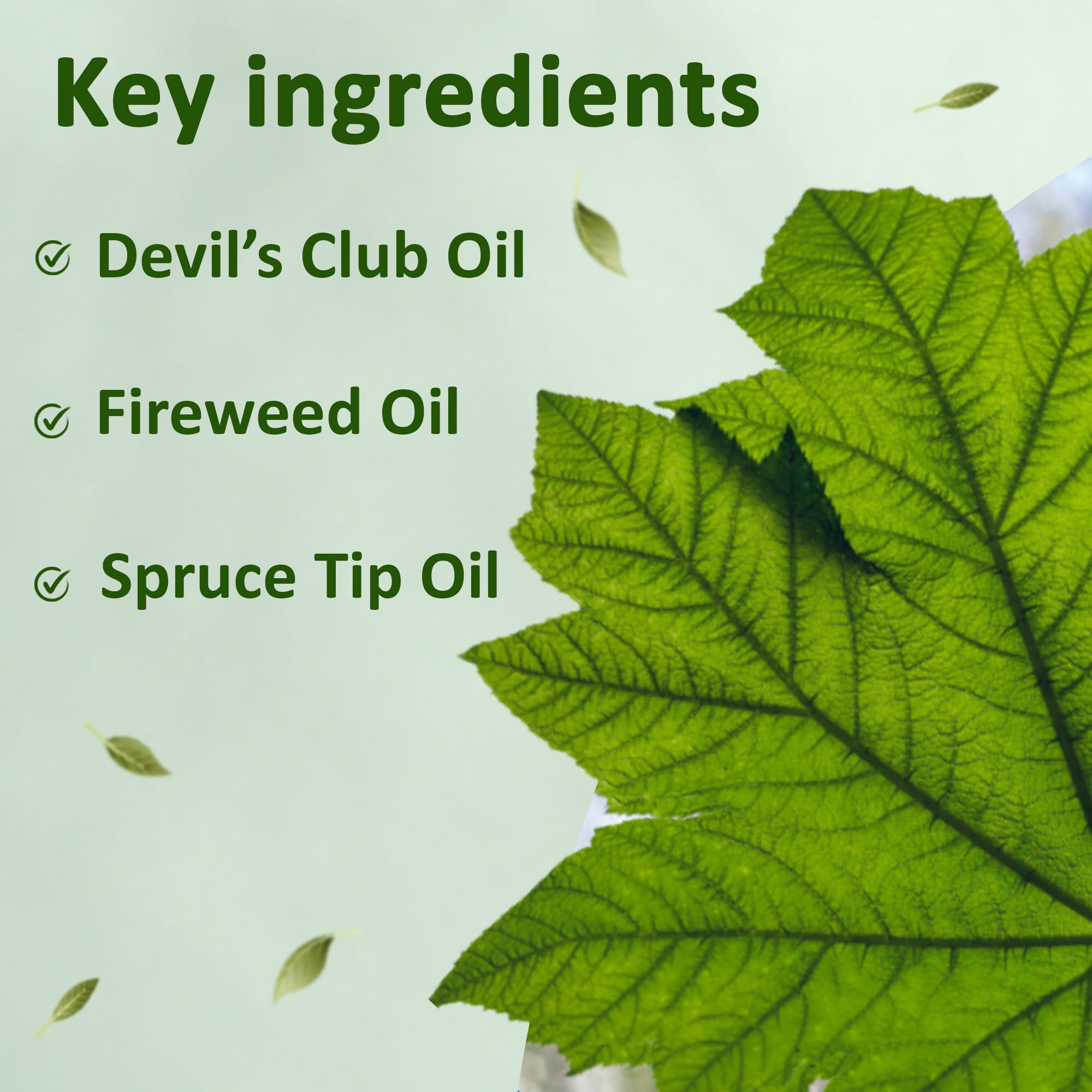 Snowy Summit Alaska Rainforest Salve - Herbal Salve for Dry Skin & Joint Relief - Natural Super Salve for Soothing Skin with Gentle Aroma - Body & Hand Salve - Muscle Rub with Alaskan Devil’s Club Oil Snowy Summit Au supplements