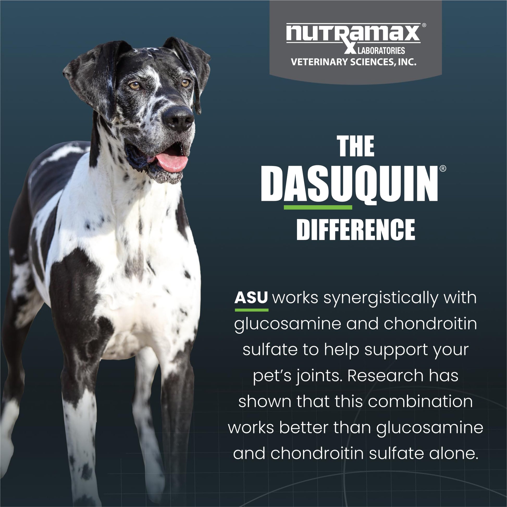 Nutramax Dasuquin for Large Dogs, Joint Health Supplement, Contains Glucosamine for Dogs, Plus Chondroitin, ASU and More, Supports Healthy Joints, Chewable Tablets, 150 Count Nutramax Laboratories Au supplements