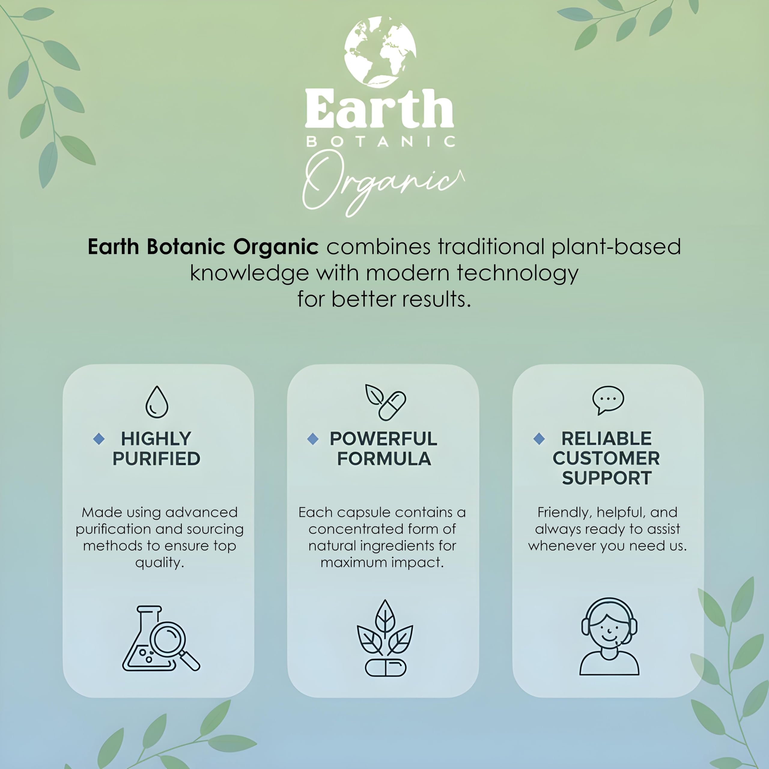 Earth BOTANIC Organic Apricot Extract, 1000 mg 120 Veggie Capsules (Vegan, Non-GMO) Herbal Supplements Earth BOTANIC Organic Au supplements