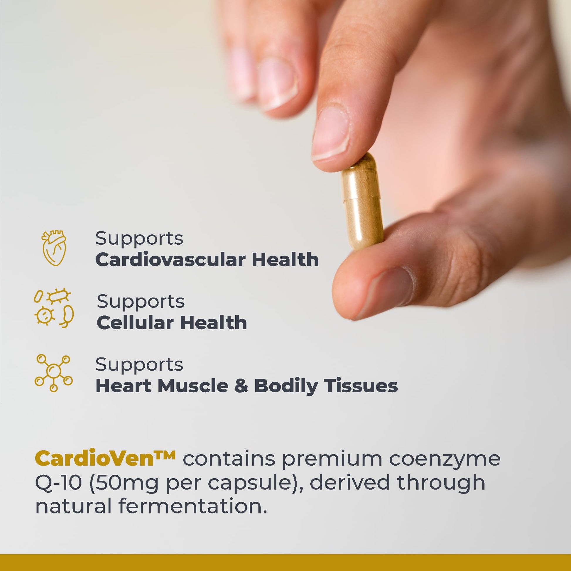 Premier Research Labs CardioVen - CoQ10, Coenzyme Q10, Co Q 10 Supplement 50mg, Ubiquinol with Chlorella, Tocotrienol & Cayenne Pepper for Heart Health, Antioxidant Support - 60 Vegetarian Capsules Premier Research Labs Au supplements