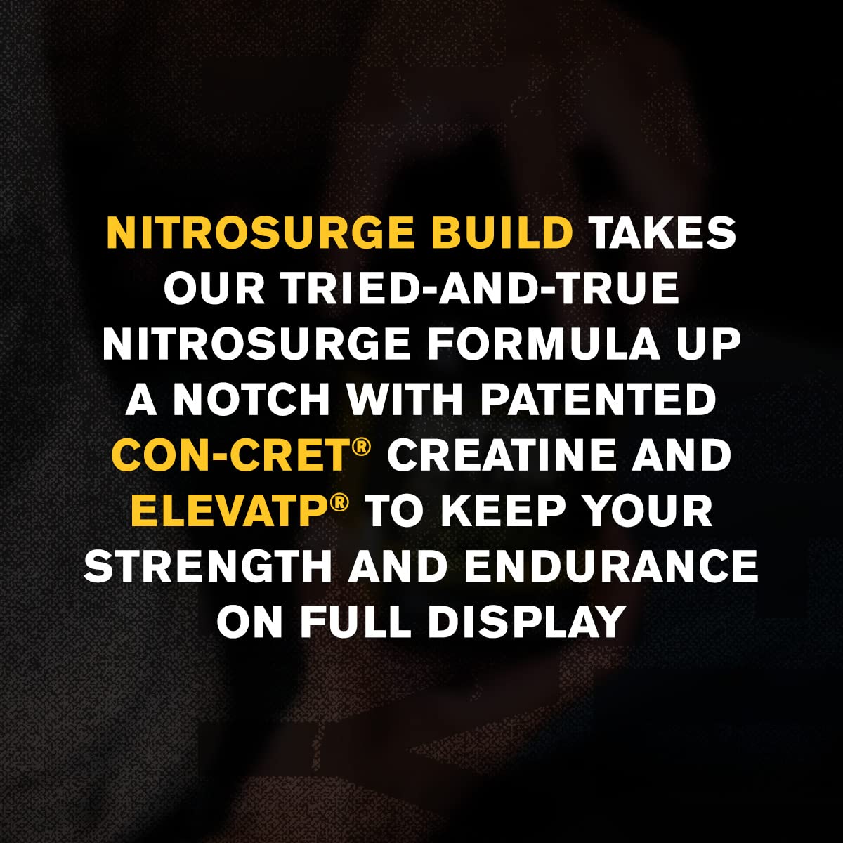 Jacked Factory Nitrosurge Build Pre Workout with Creatine for Muscle Building - Con Cret Jacked Factory Au supplements