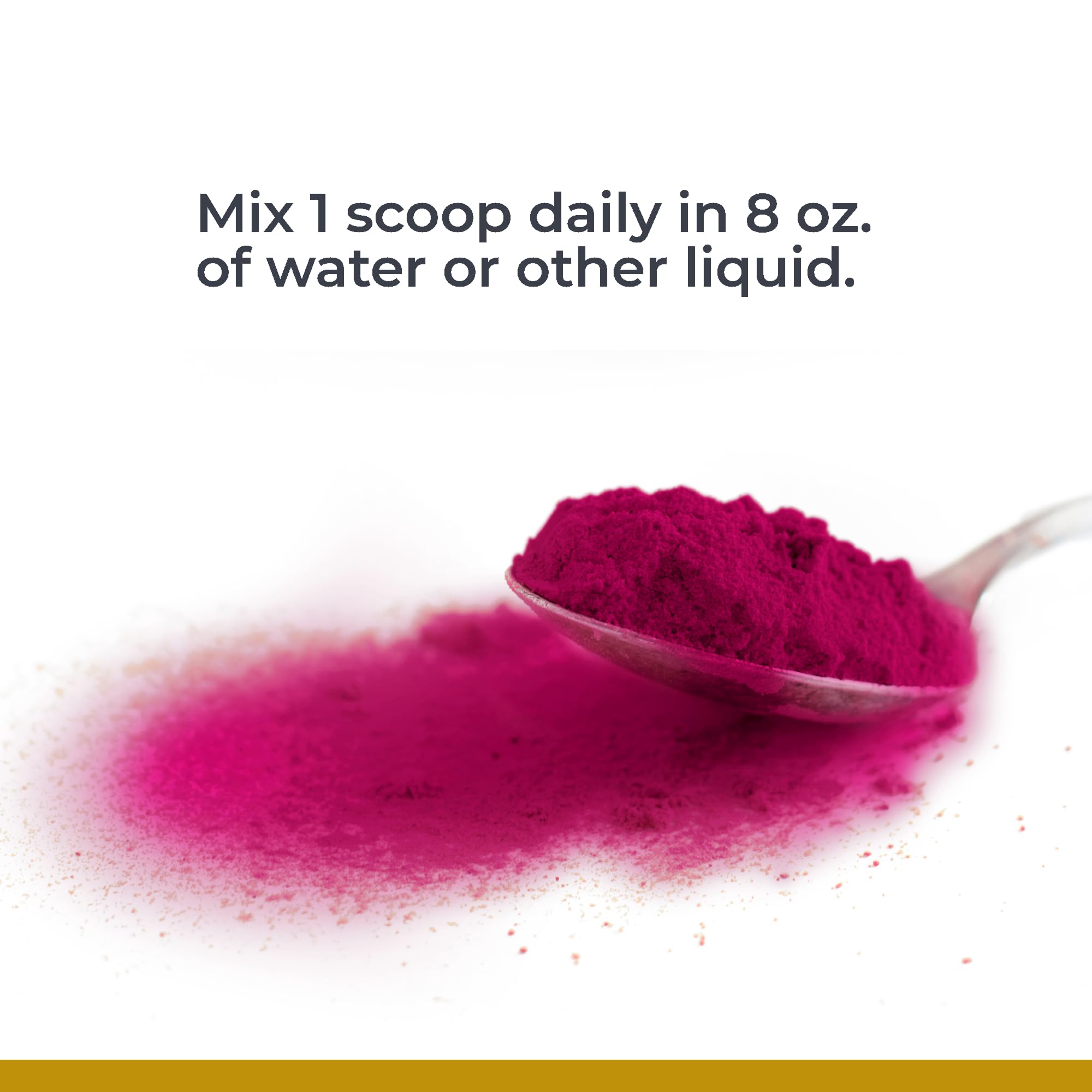 Premier Research Labs Premier Fermented Beets - Beet Root Powder Fermented, Organic Fermented Beets for Men & Women, Beetroot, Nitrates, Blood Pressure Support, USDA Organic - 6.3 Oz Jar Premier Research Labs Au supplements