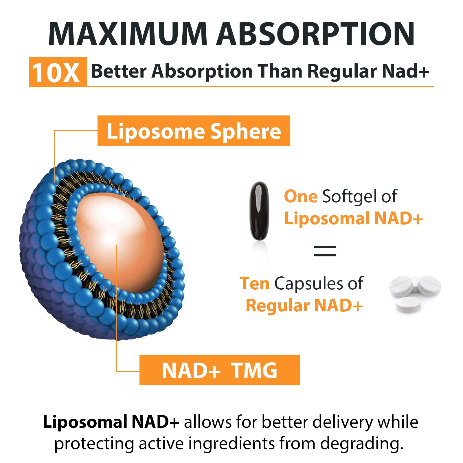Orgabay Liposomal NAD+ Supplement 500 mg, High Absorption, Boost NAD+ with TMG 250 mg, Actual NAD Plus More Efficient Than Nicotinamide Riboside, Support Cellular Energy, Healthy Aging | 240 Softgels Orgabay Au supplements
