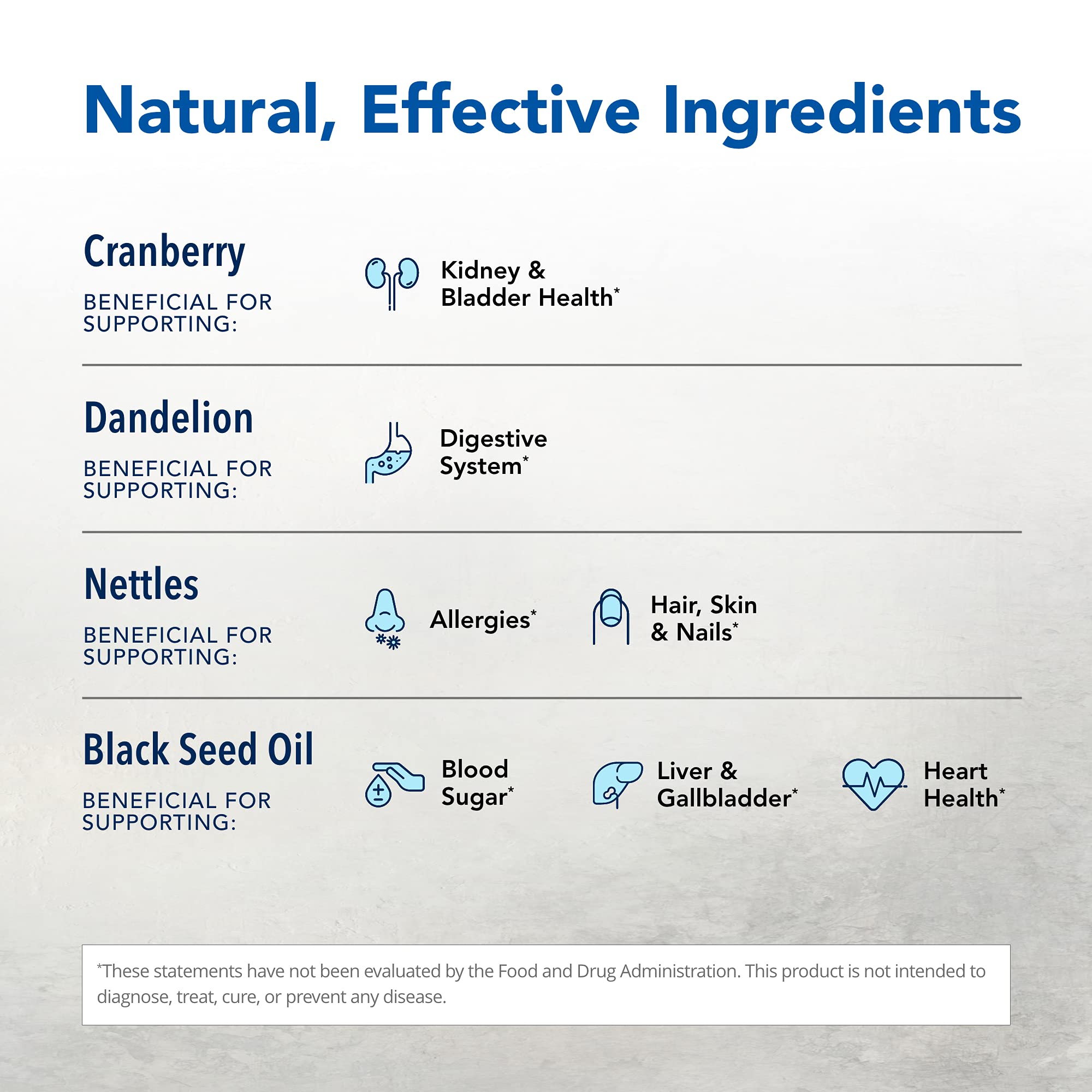 NORTH AMERICAN HERB & SPICE Total Body Purge - 12 fl. oz. - Raw Whole Body Formula - Builds Healthy & Nutritious Diet - Contains Natural Source Phenols, Vitamins, & Minerals - 12 Servings NORTH AMERICAN HERB & SPICE Au supplements