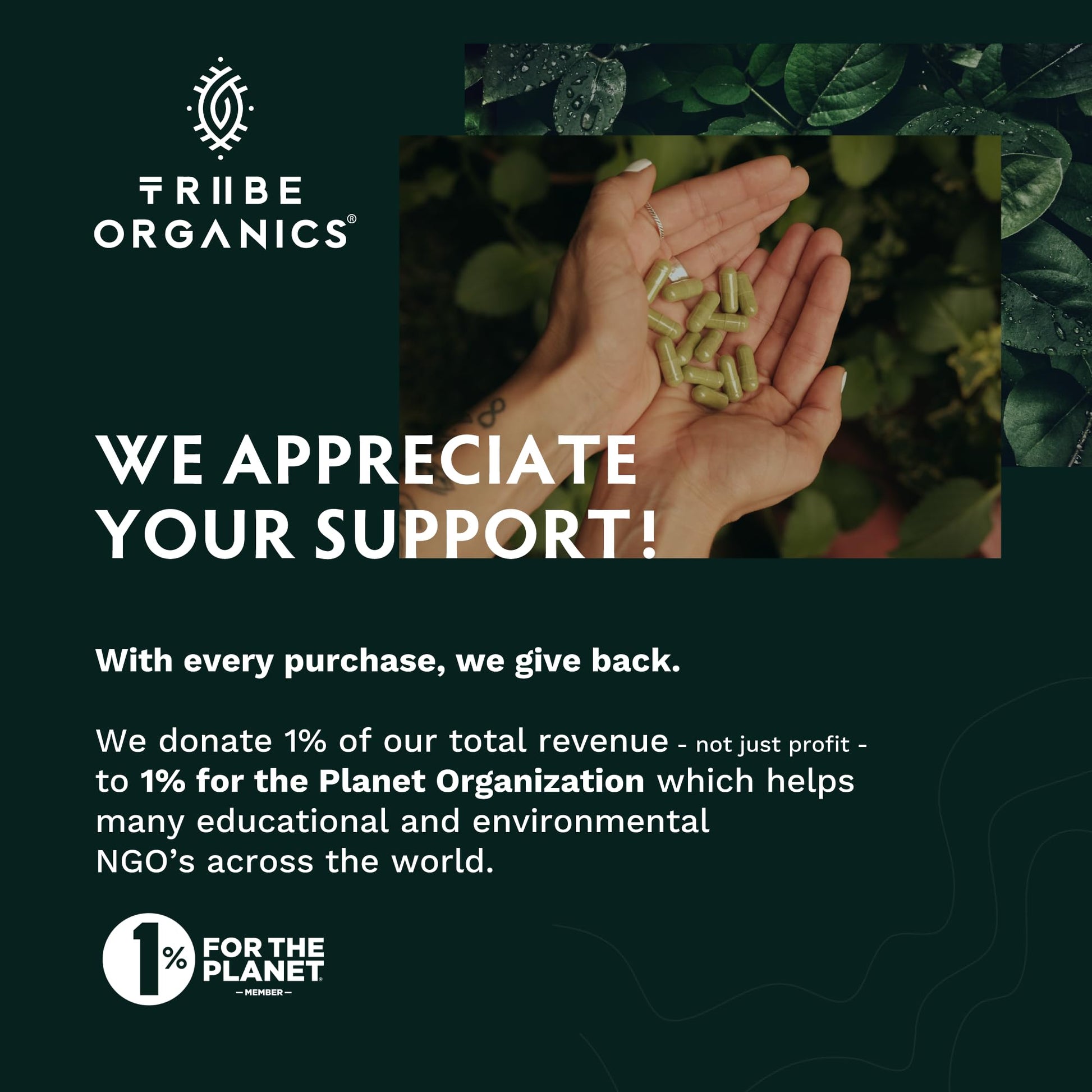 TRIBE ORGANICS Ashwagandha KSM 66 Pure Organic Root Powder Extract Ayurvedic TRIBE ORGANICS Au supplements