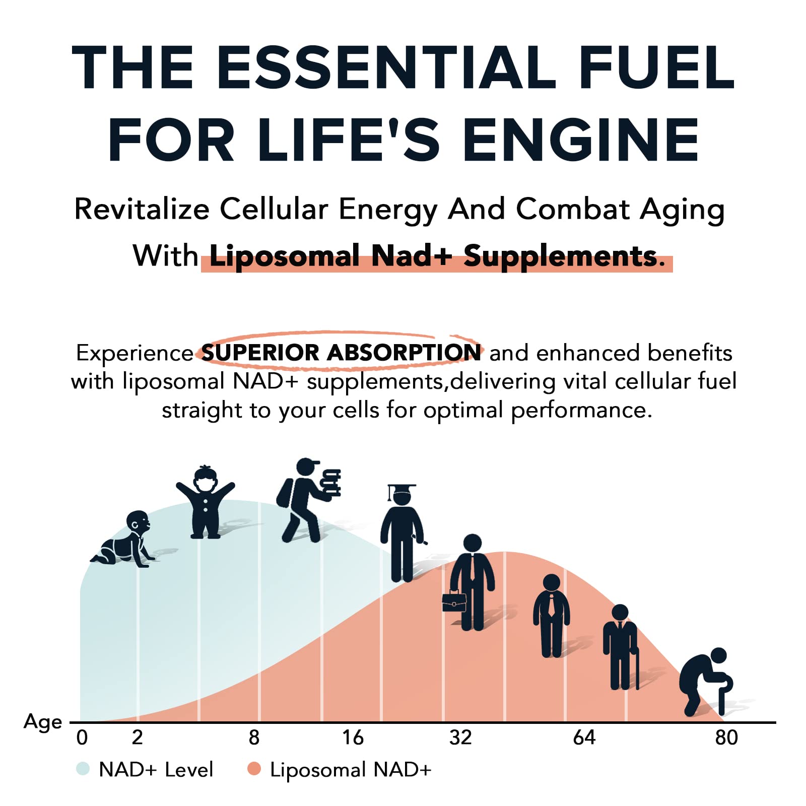 Fabamax 1600 mg Liposomal NAD Supplement, 98% Pure NAD+ Supplement, Superior Absorption, Alternative to Nicotinamide Riboside or NADH to Boost NAD+ for Aging Defense, Energy, Longevity, 120 Softgels Fabamax Au supplements