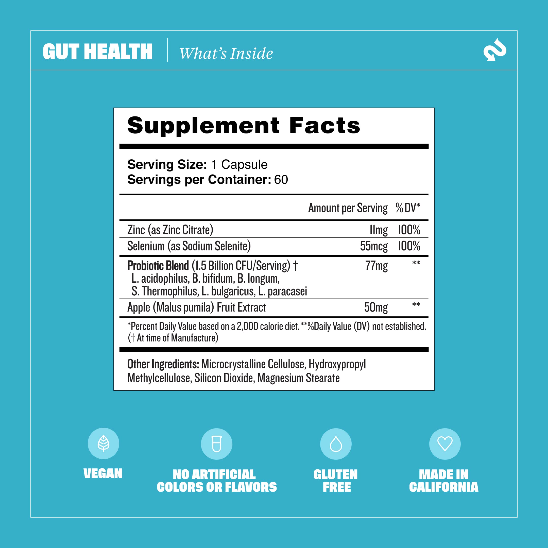 Health By Habit Gut Health Supplement (60 Capsules) - Contains 1.5 Billion probiotic Health By Habit Au supplements