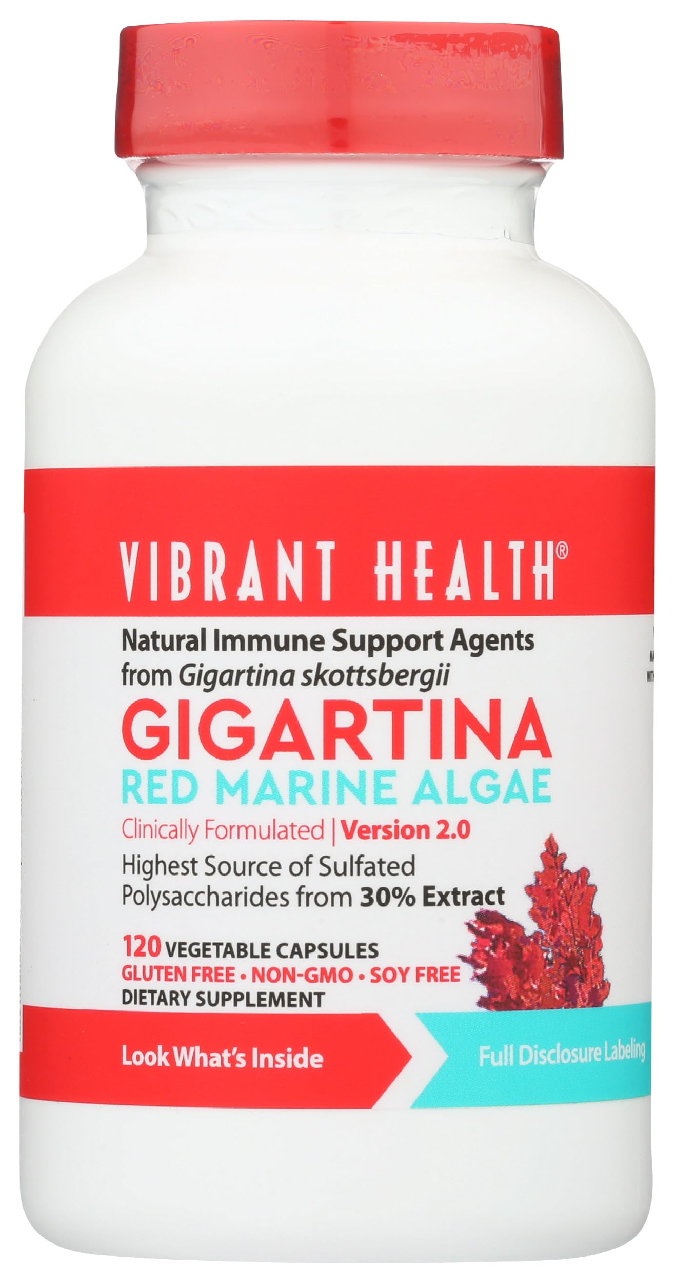 Vibrant Health, Gigartina Red Marine Algae, Plant-Based Immune Support, 60 Capsules Vibrant Health Au supplements