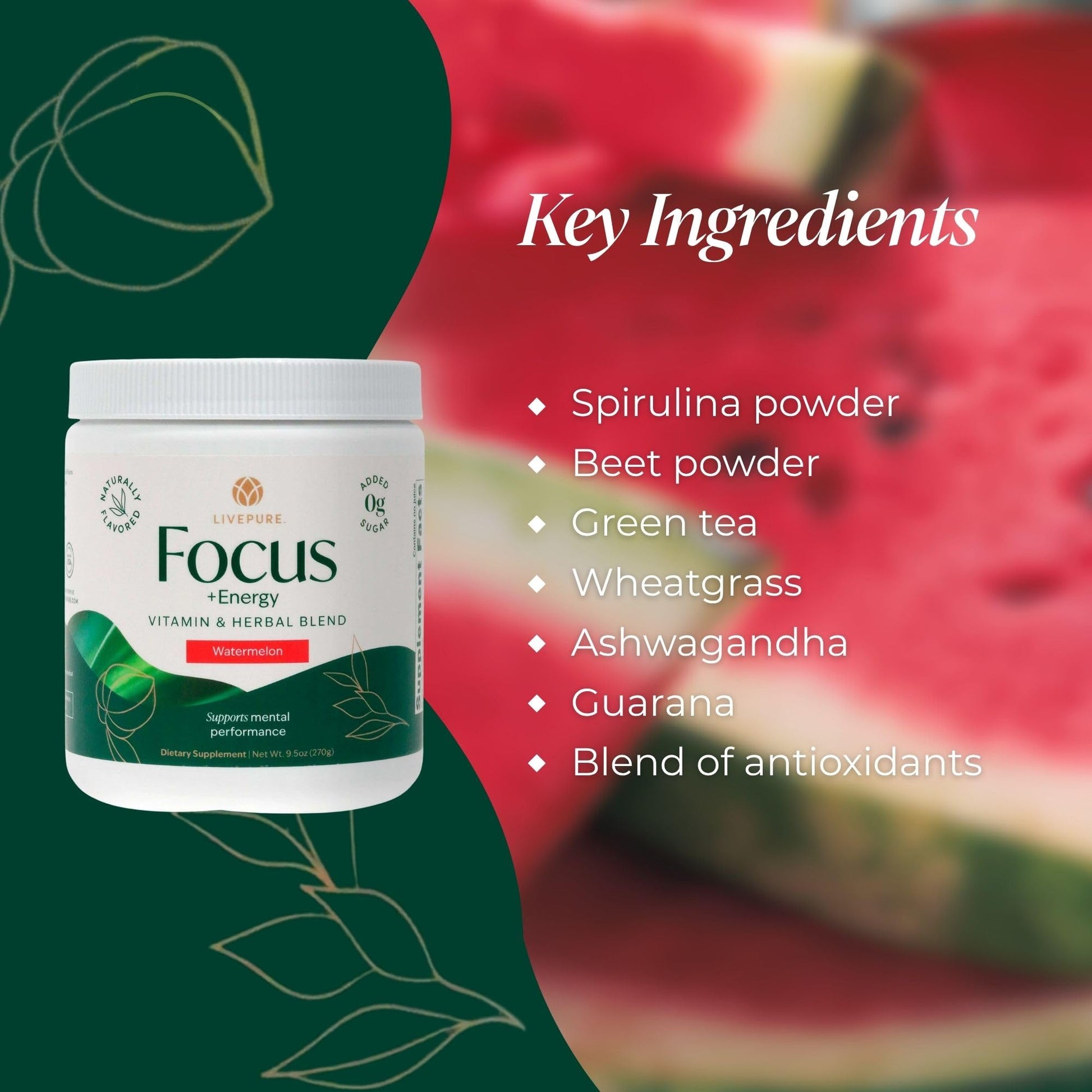 PURE Focus + Energy Tub Drink Mix | Natural Caffeine & Antioxidants from Botanicals | Supports Alertness, Clarity & Energy | Zero Sugar, No Artificial Sweeteners | 9.5 oz | Watermelon Flavor PURE Au supplements