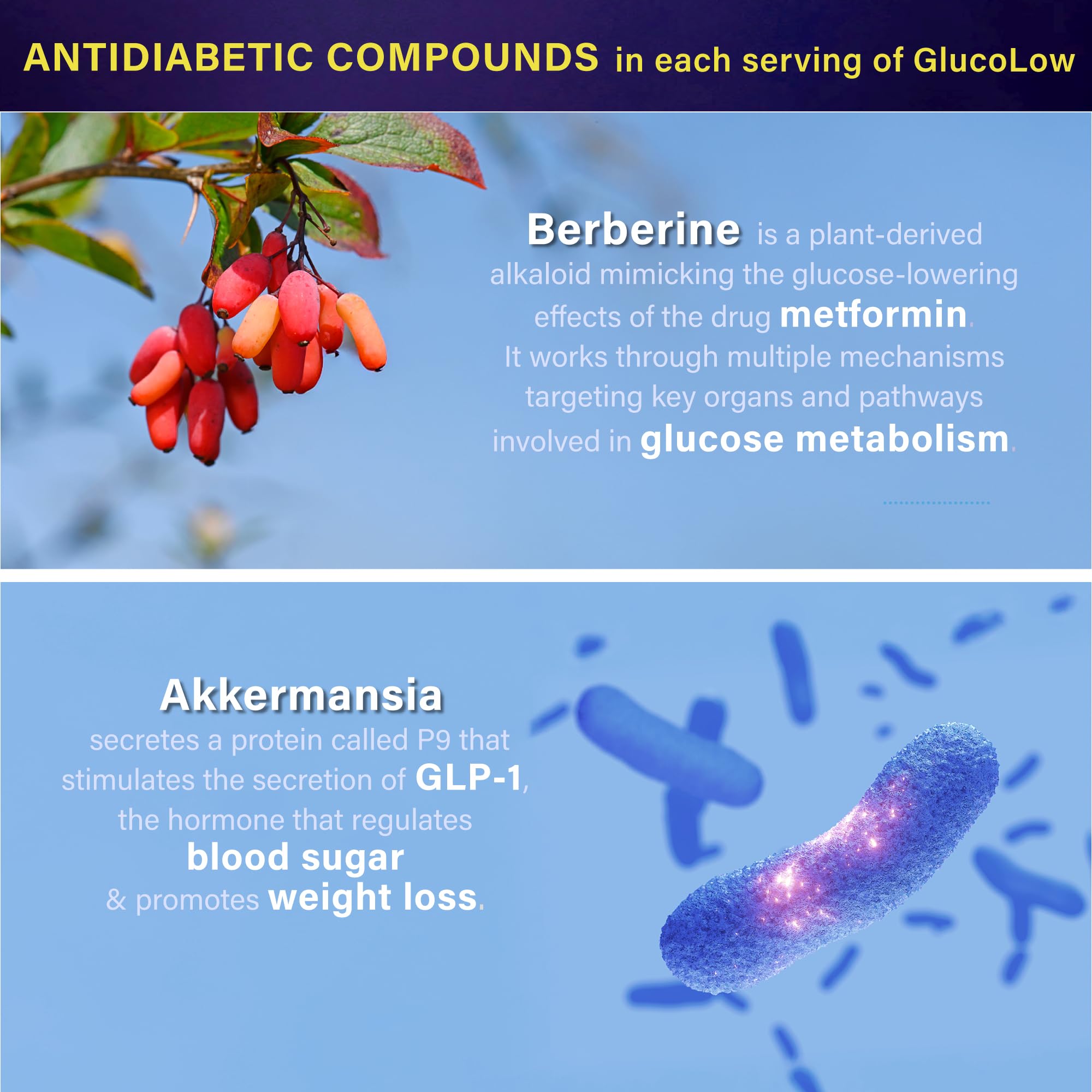 Blood Sugar Support Colostrum Supplement w/ Bitter Melon, Probiotics Blend w/ Akkermansia & Prebiotic Berberine | For Healthy Blood Glucose, Metabolism, Gut & Immunity | 90 Delayed Release Vegan Caps FOLONA Au supplements