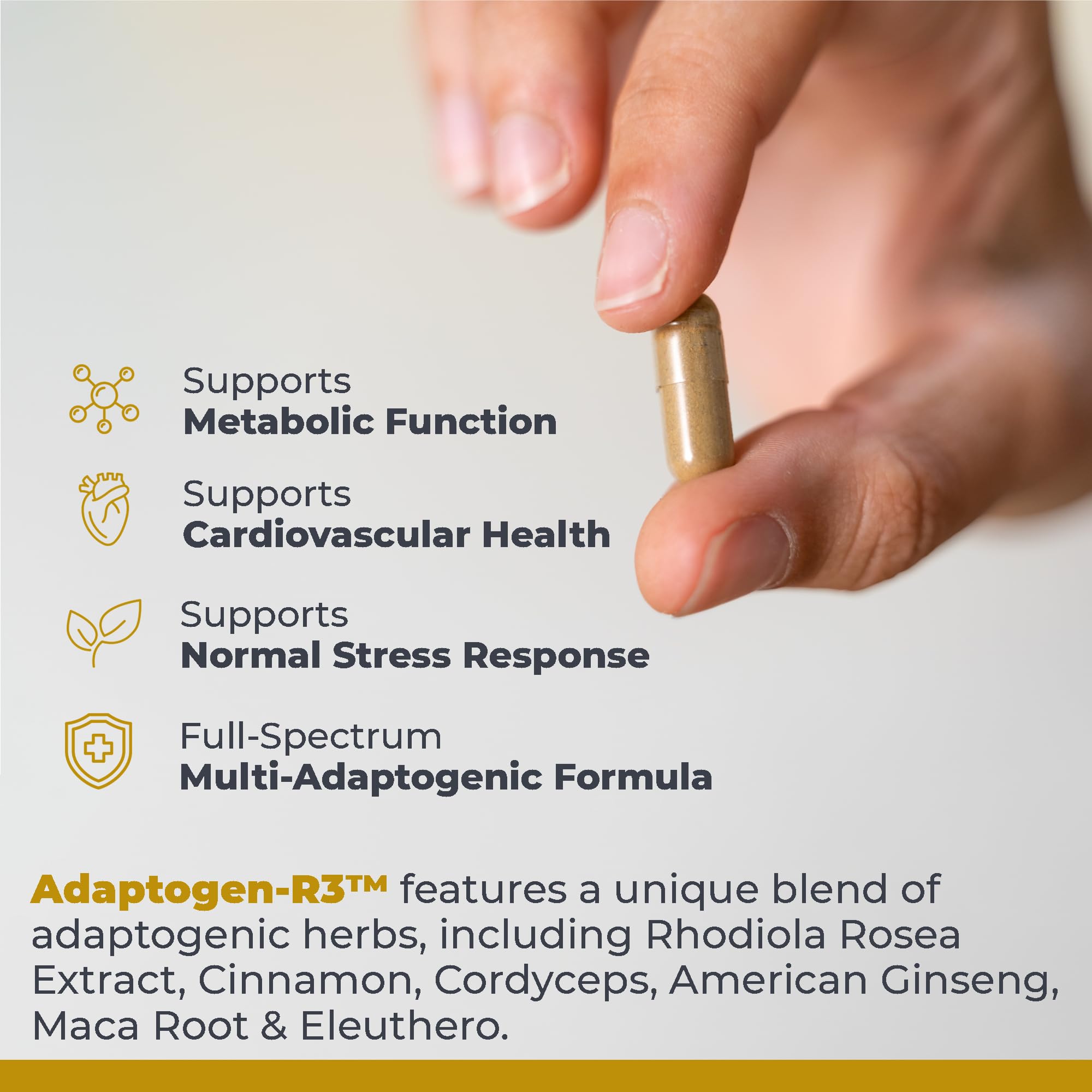 Premier Research Labs Adaptogen-R3 Supplement - Rhodiola Rosea Supplement with Maca Root, Adaptogen Complex for Stress, Heart & Metabolic Health - 90 Vegetarian Capsules Premier Research Labs Au supplements