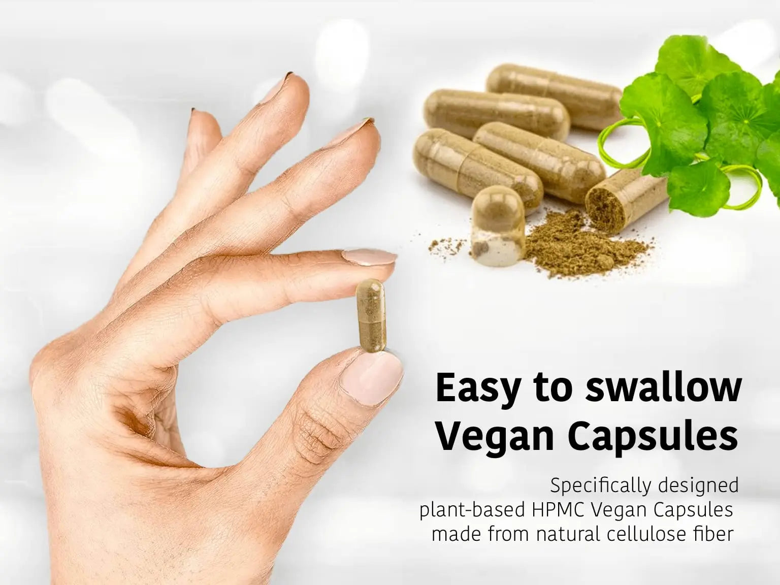DR WAKDE'S Cardamom Capsules (60 Veg Caps, Plant-Based Supplement, Ayurvedic Herb, All Natural, Vegan) DR WAKDE's Au supplements