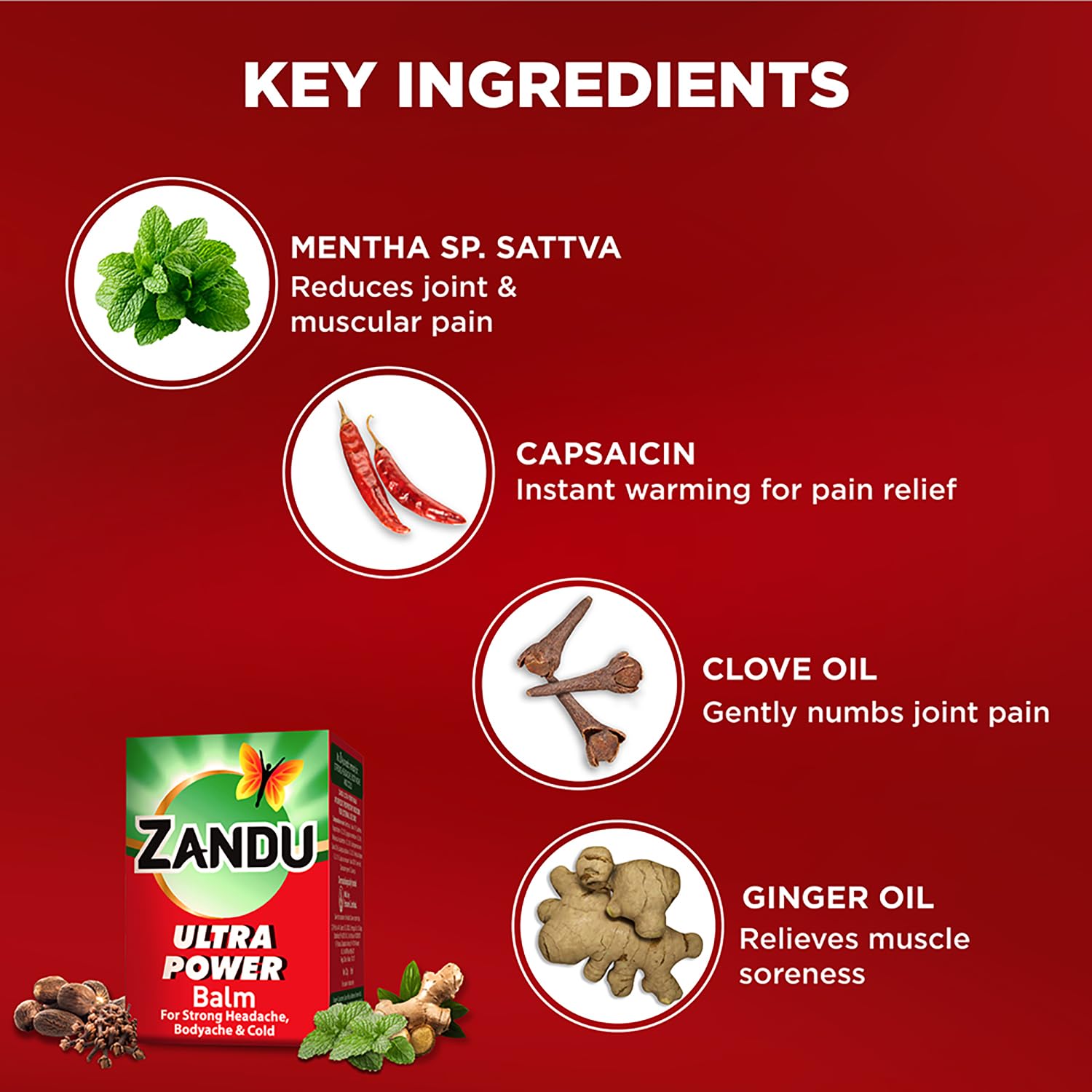 Zandu Ultra Red Balm | Ayurvedic Balm with Menthol, Camphor, Eucalyptus Oil | Relieves from Bodyache, Cold & Muscle Stiffness | Non Greasy & Fast Acting | 0.85 Fl Oz (Pack of 1) Zandu Au supplements