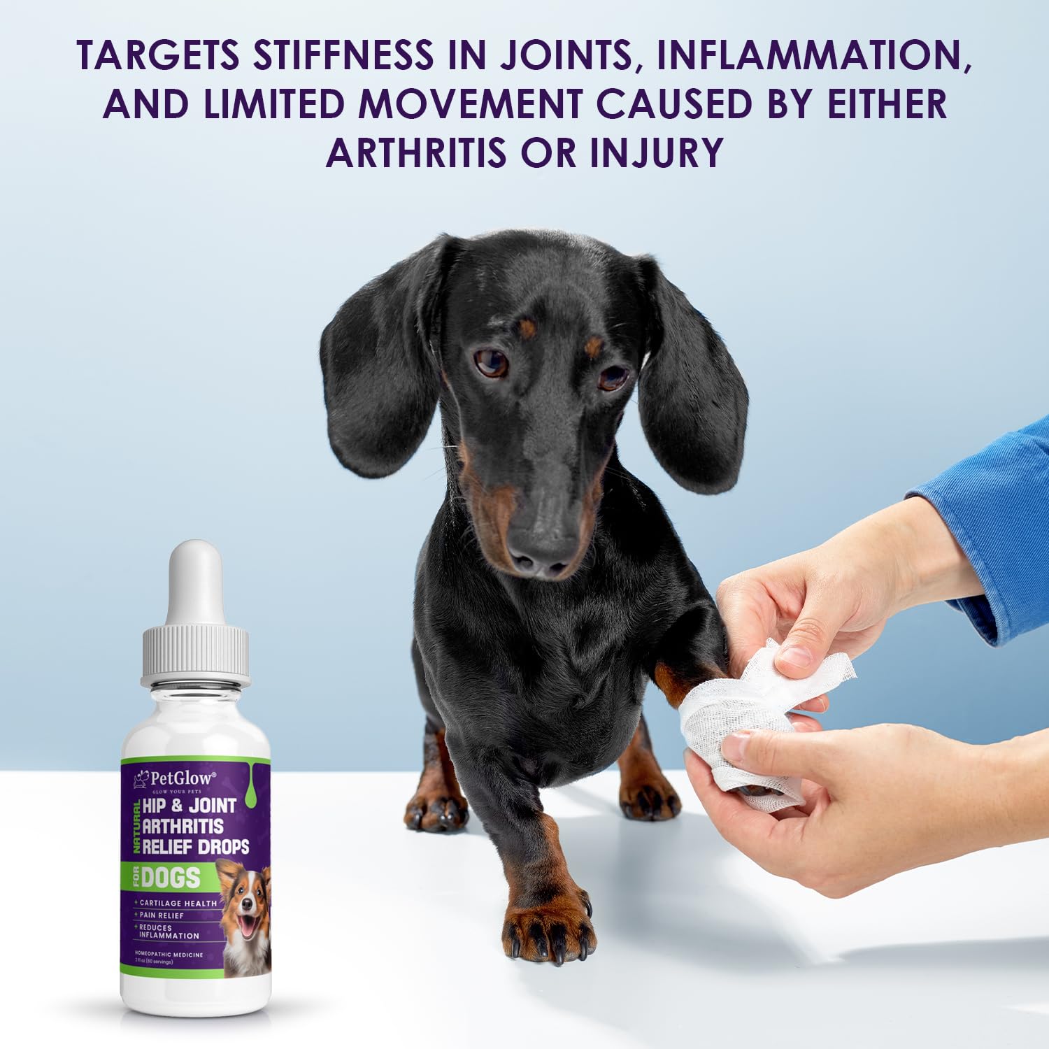 Petglow® Natural Hip & Joint Arthritis Relief Drops with Curcumin & Boswellia, Homeopathic Anti-Inflammatory Formula for Dogs, Cats & Horses, Supports Flexibility, Comfort & Mobility Naturally Petglow Au supplements