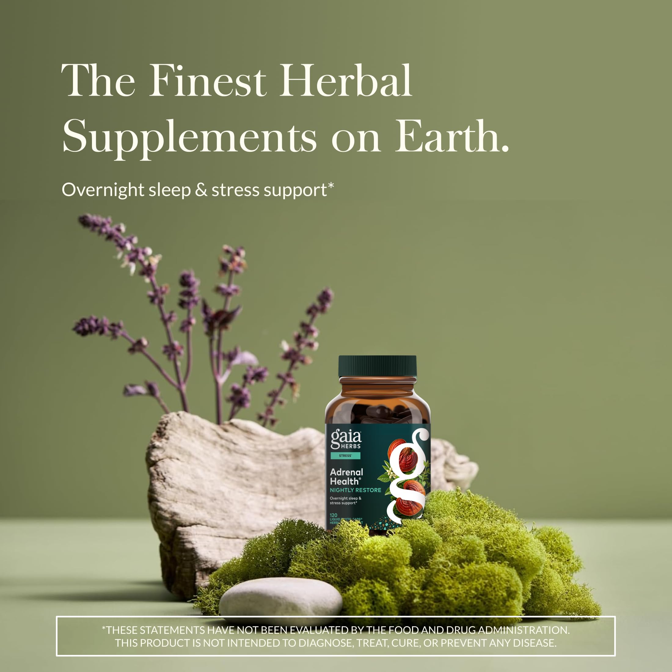 Gaia Herbs Adrenal Health Nightly Restore - Herbal Supplement with Ashwagandha, Magnolia Bark, Cordyceps, Lemon Balm & More* - 60 Vegan Liquid Phyto-Caps (30 Servings) Gaia Herbs Au supplements