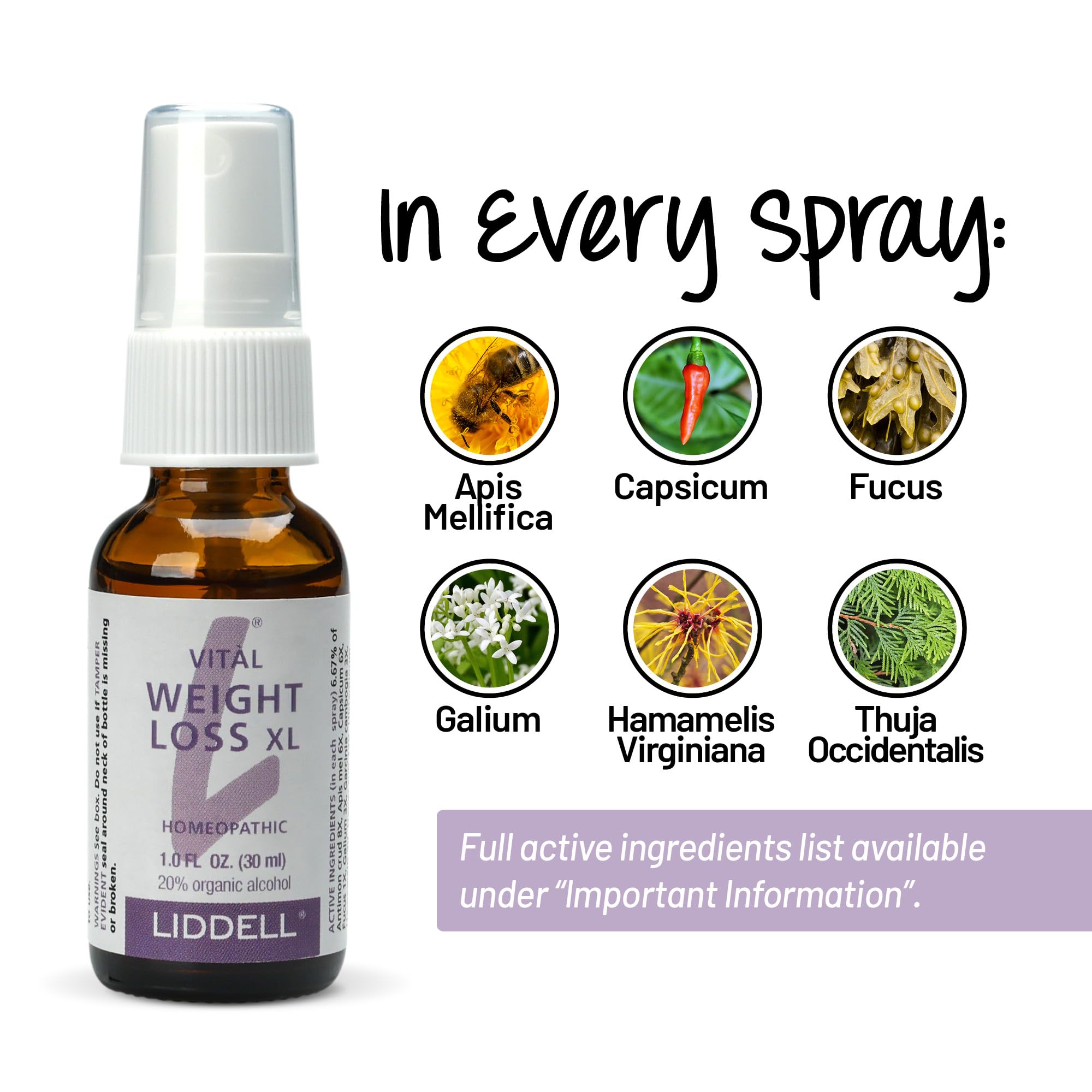 VITL Weight Loss XL Liddell Homeopathic 1 oz Liquid Liddell Au supplements