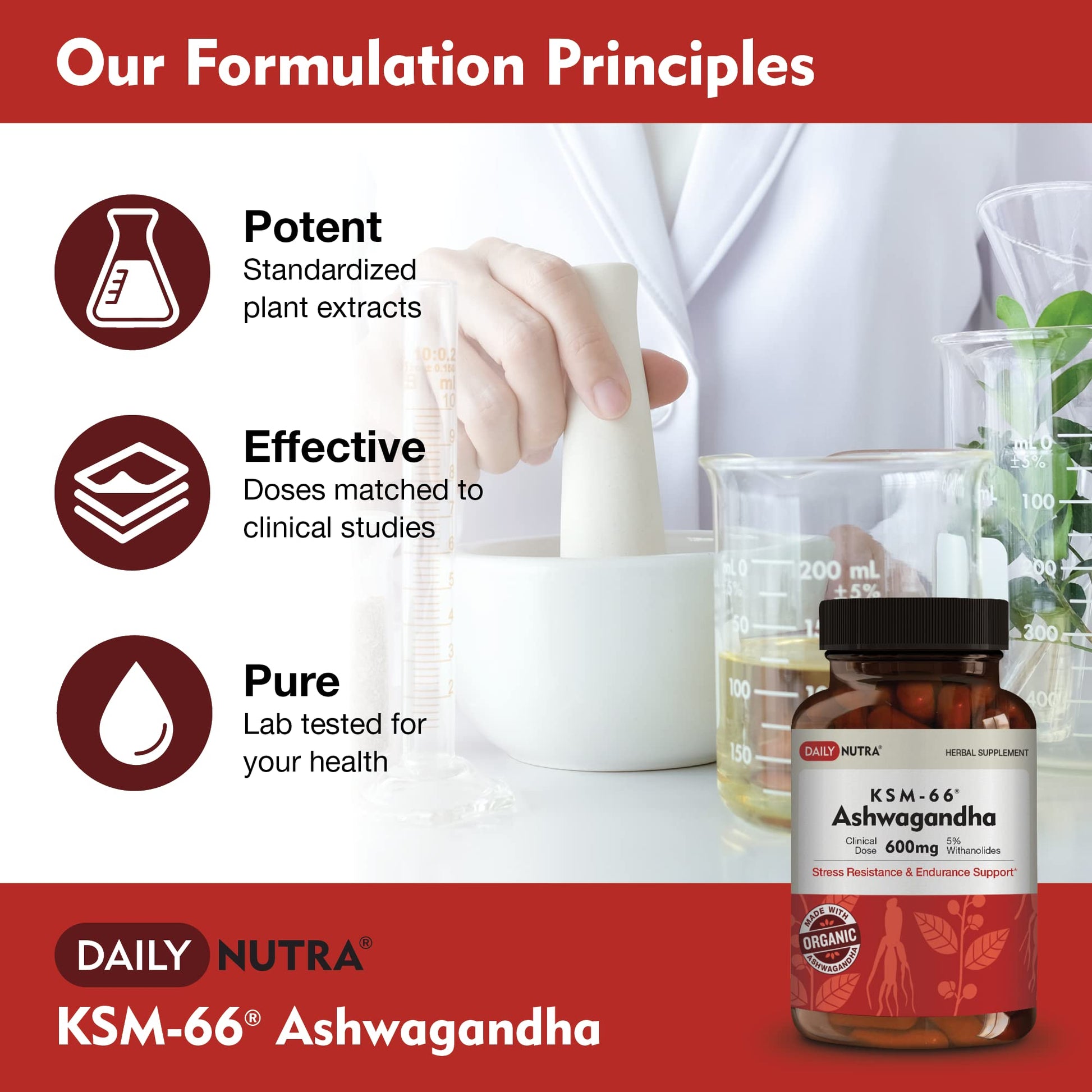 DailyNutra KSM-66 Ashwagandha 600mg Organic Root Extract - High Potency Supplement with 5% Withanolides | Relieves Tiredness, Supports Relaxation, Focus, Energy, & Muscle Growth (90 Capsules) DailyNutra Au supplements