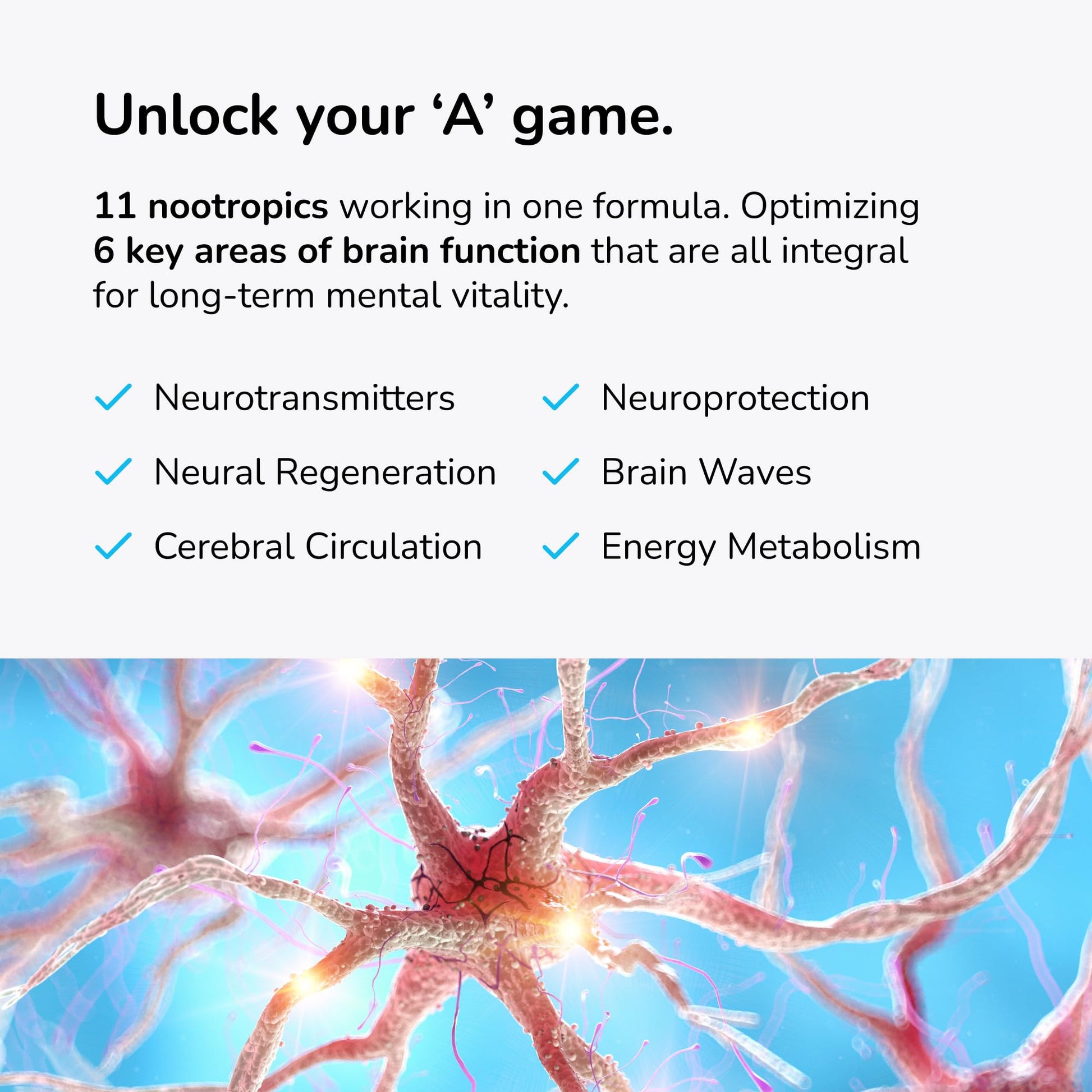 Mind Lab Pro® MLP® v4 Universal Nootropic™ Brain Booster Supplement for Focus, Memory, Clarity, Energy - 60-Count - Plant-Based, Naturally Sourced Memory Vitamins for Better Brain Health, Made in USA Mind Lab Pro Au supplements