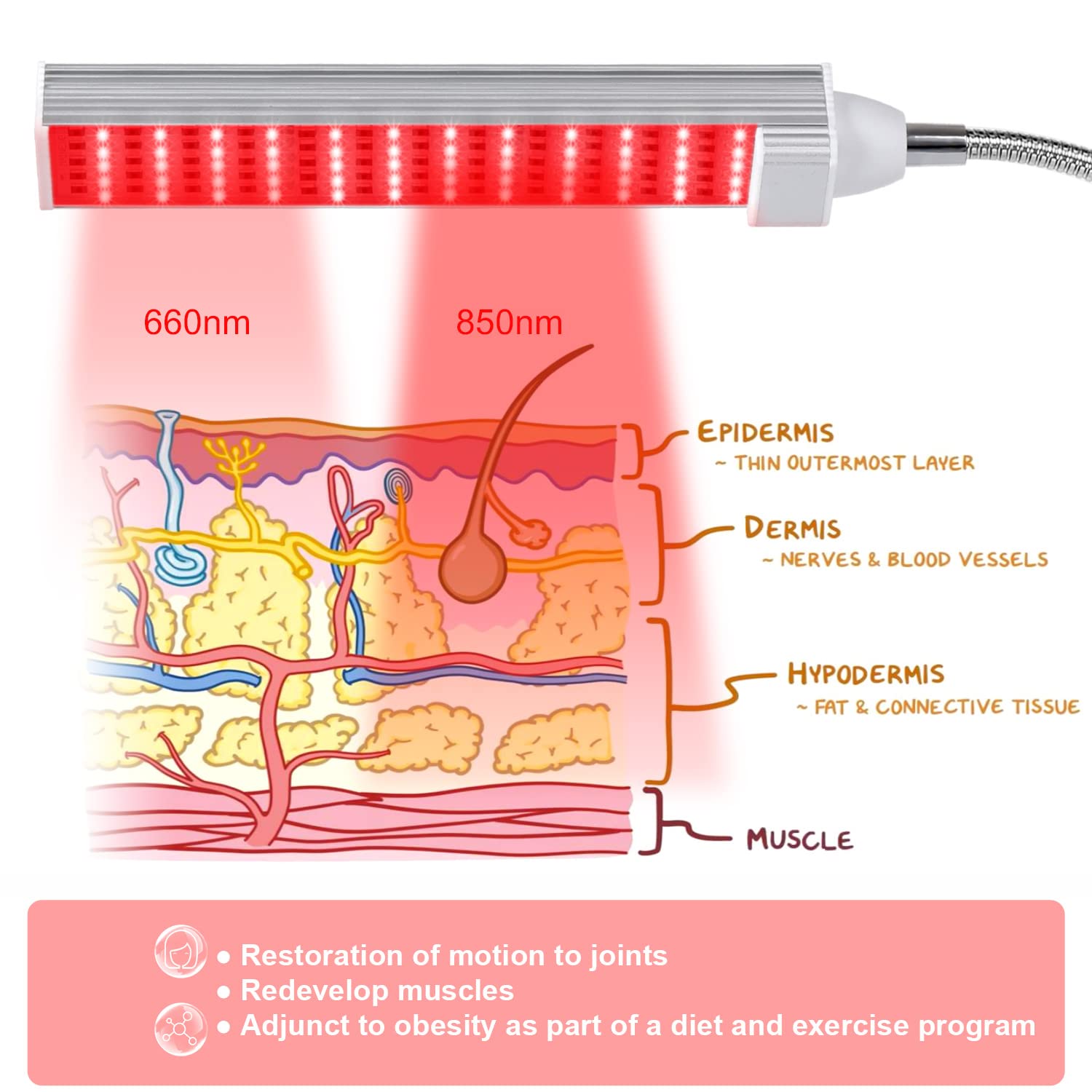 MAINENG Infrared & Red Light Therapy Lamp with Timer, 660nm & 850nm LED - M7685 MAINENG Au supplements