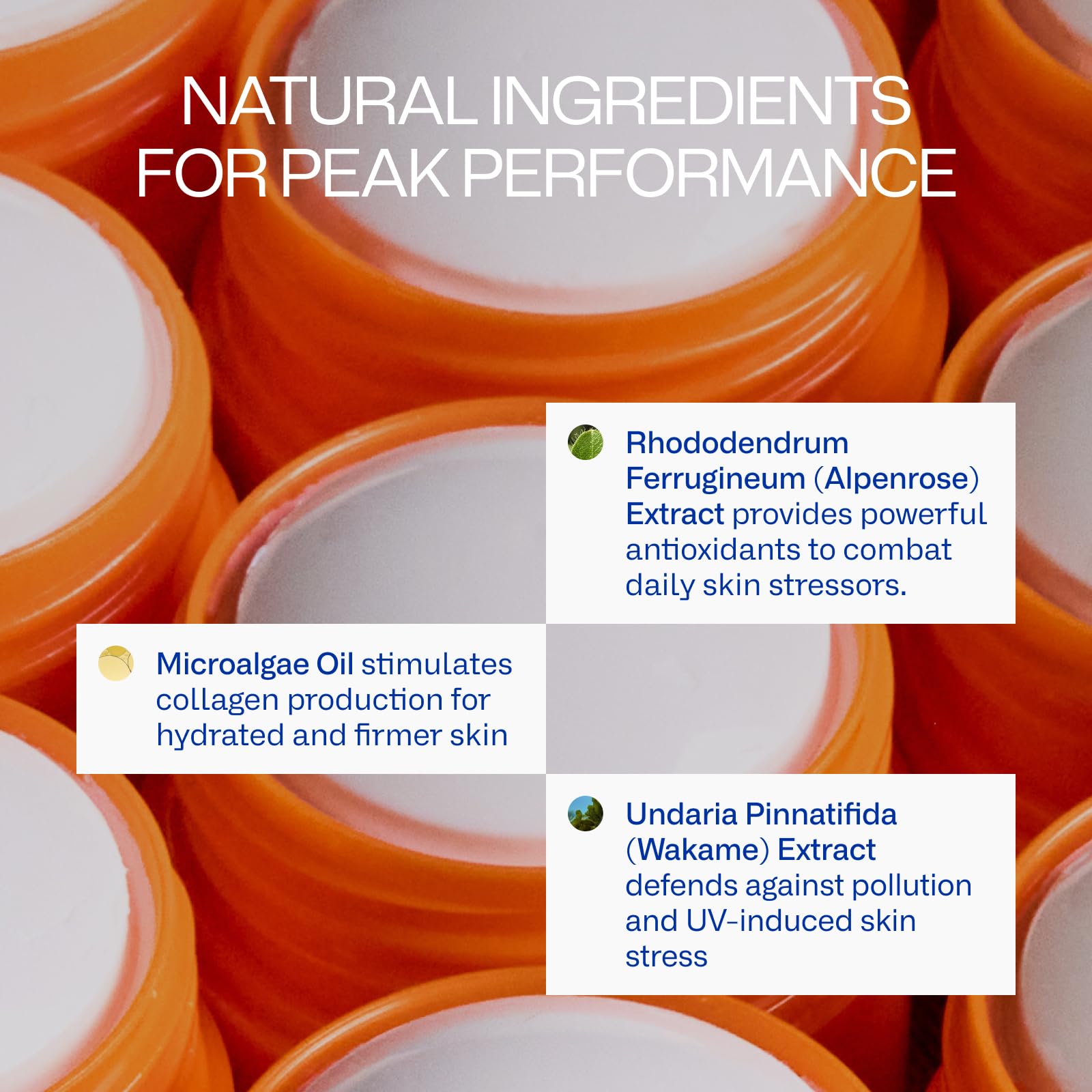 Peak Performance Sun Stick SPF 50 | 100% Mineral Sunscreen | Lightweight, 40-Min Water-Resistant | Plant-Based, Eco-Friendly, Reef-Safe, Cruelty-Free | All Skin Types | 0.70 oz | Pack of 2 Freaks of Nature Au supplements