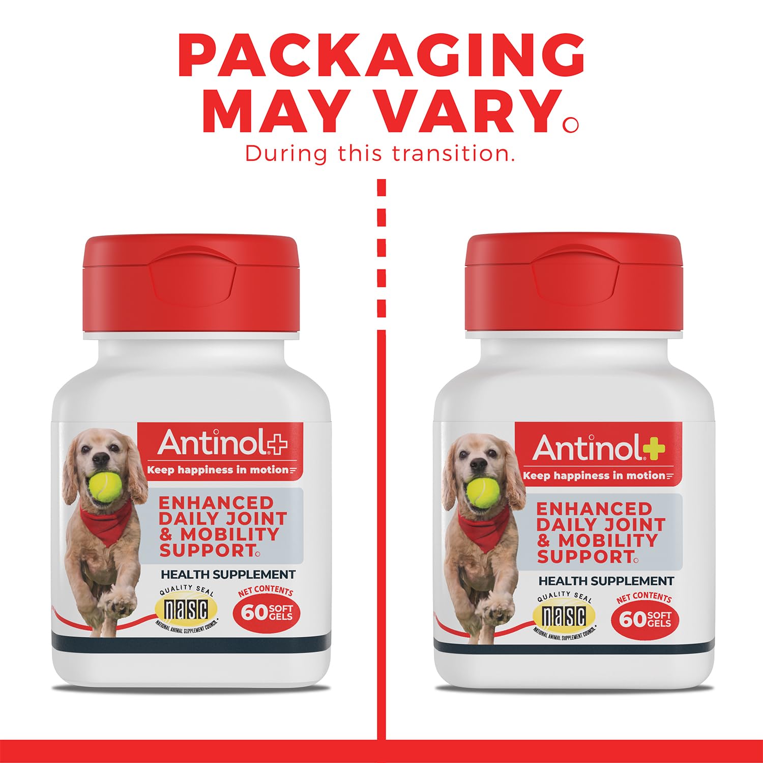 Antinol Plus, Mobility, Hip, and Joint Supplement for Dogs, Green-Lipped Mussels and Krill Oil - Dog Joint Supplement, Better and Faster Than Glucosamine and Chondroitin, 120 Soft Gels Antinol Au supplements