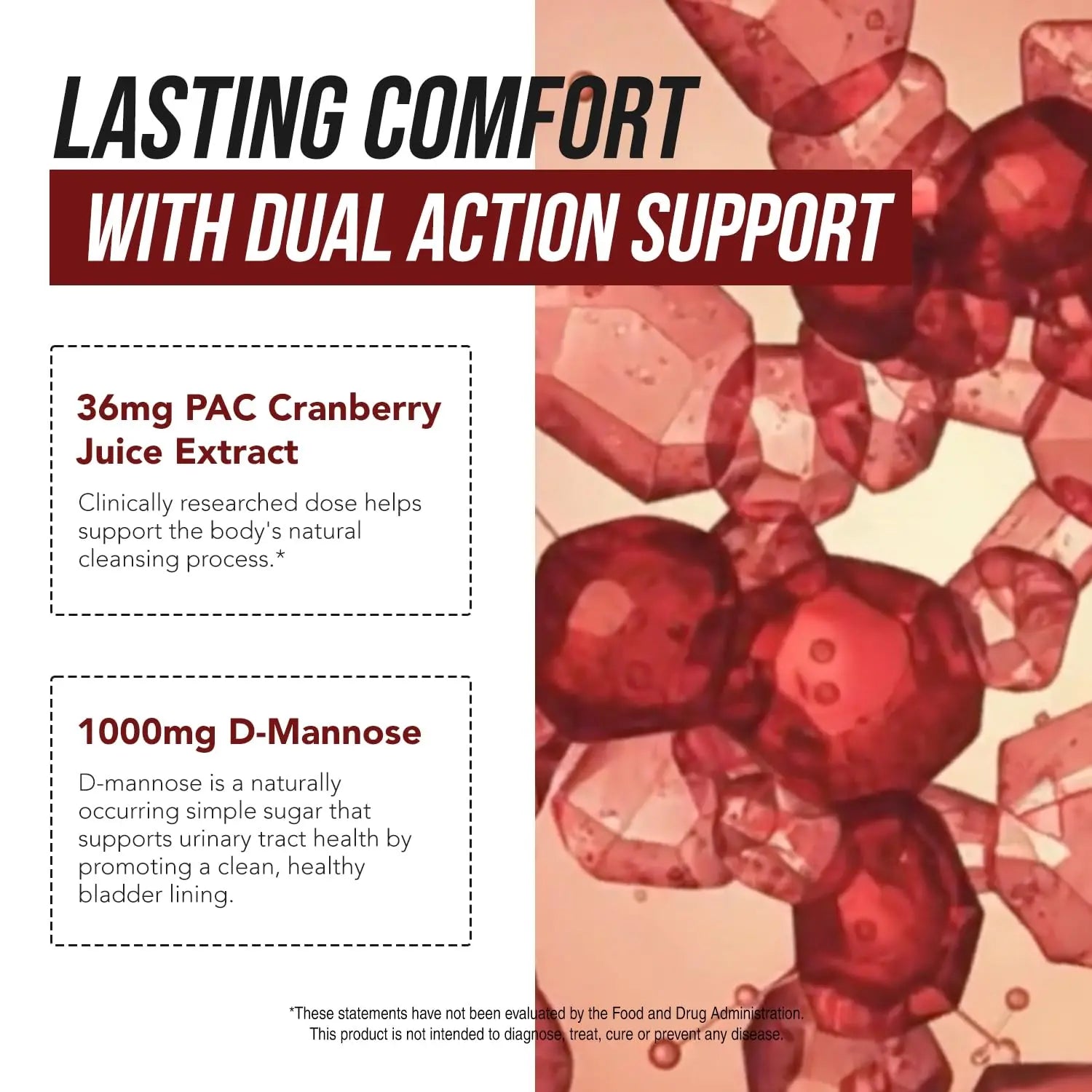 CranEaze®: Cranberry Juice Extract Plus D-Mannose – 36 mg PAC, 100% Soluble PAC - Supports Urinary Tract Health – Most Effective Cranberry Pills for Women, UTI Cranberry Supplement - 60 Capsules Triquetra Health Au supplements