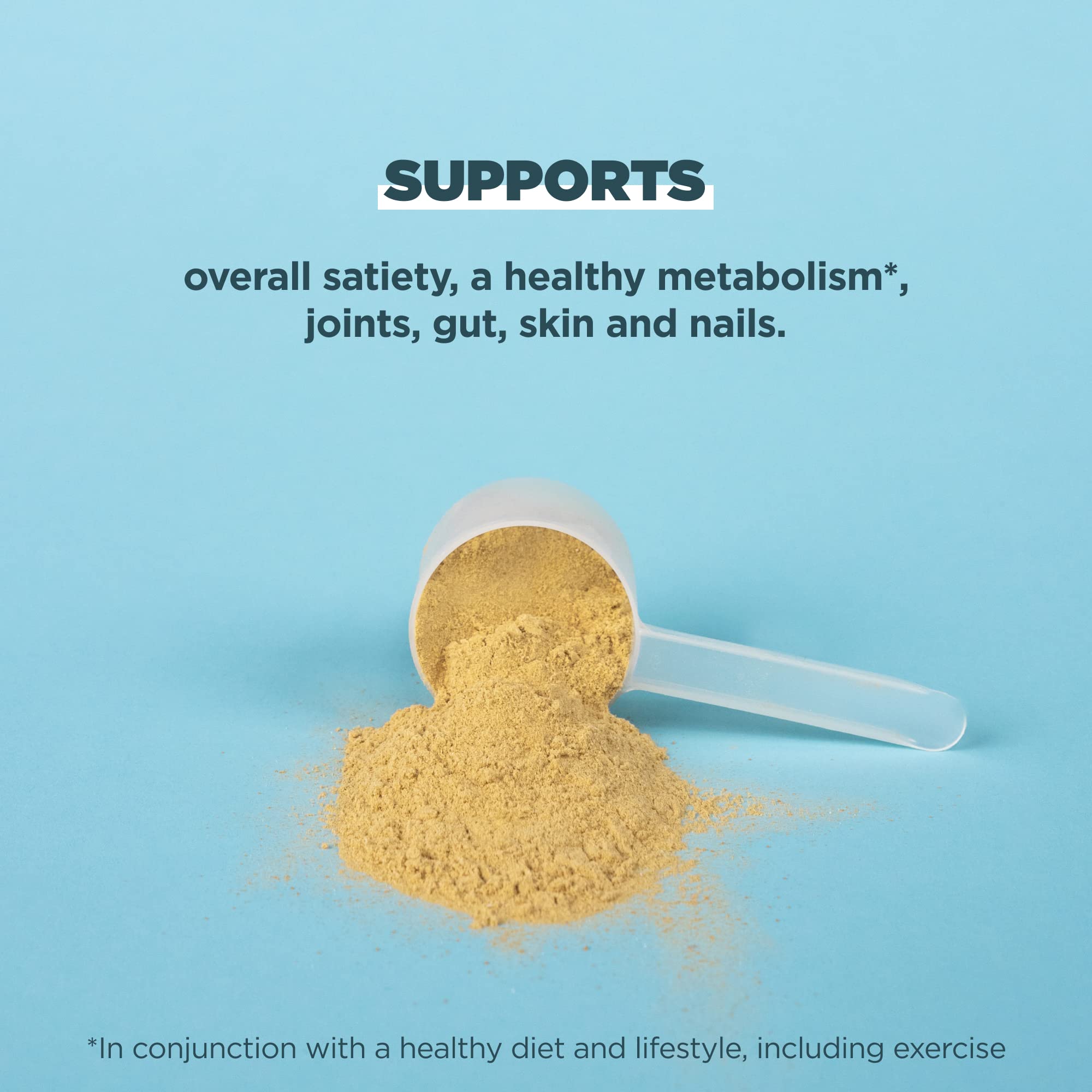 Ancient Nutrition Bone Broth Protein Powder, Butternut Squash, Grass-Fed Chicken Ancient Nutrition Au supplements