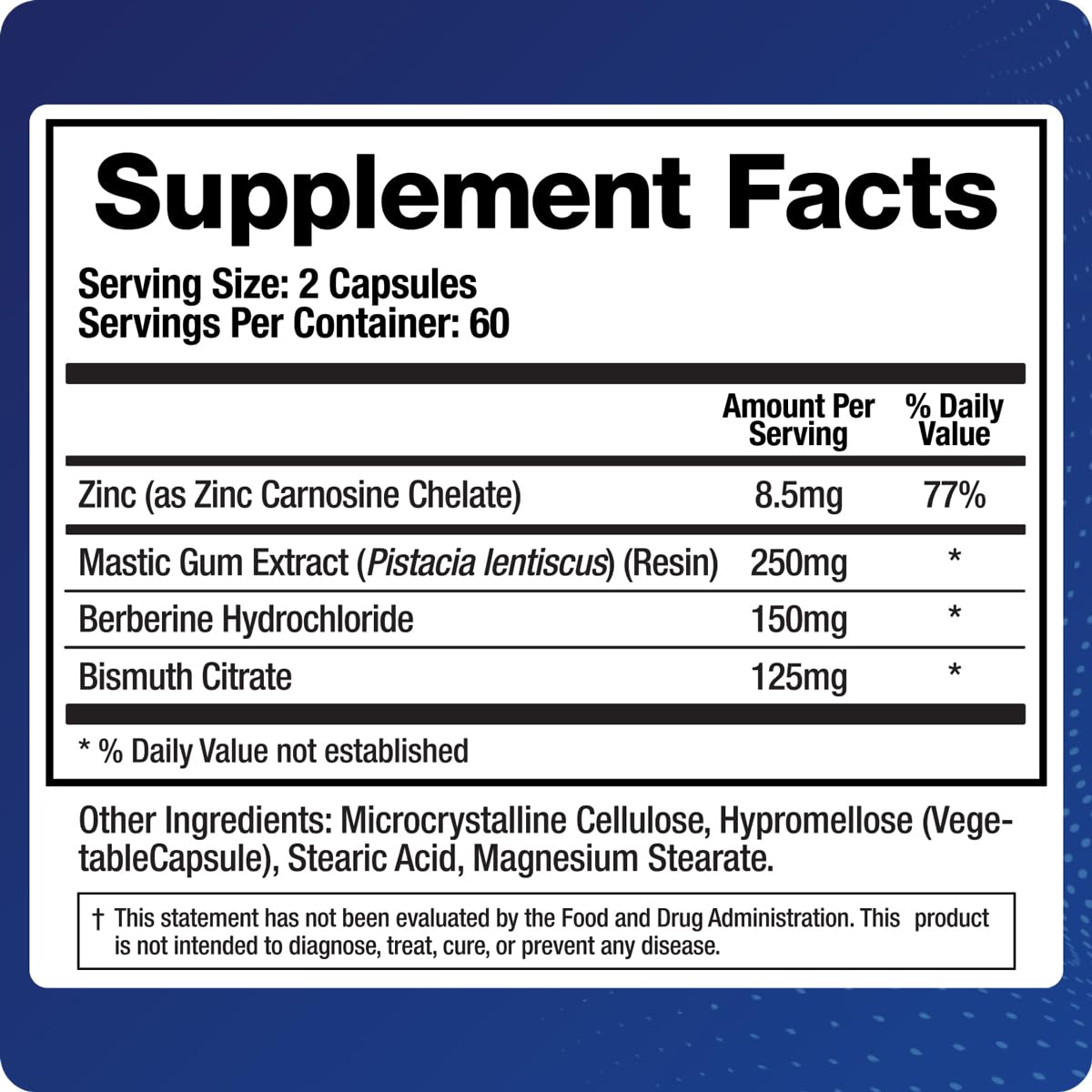 BioMatrix Pylor-X Gut Health Supplement – Mastic Gum, Berberine, Zinc Carnosine & Bismuth Salts for Gastric Support, Digestive Comfort, Stomach Lining Protection - (120 Capsules) 30-60 Day Supply BioMatrix Au supplements