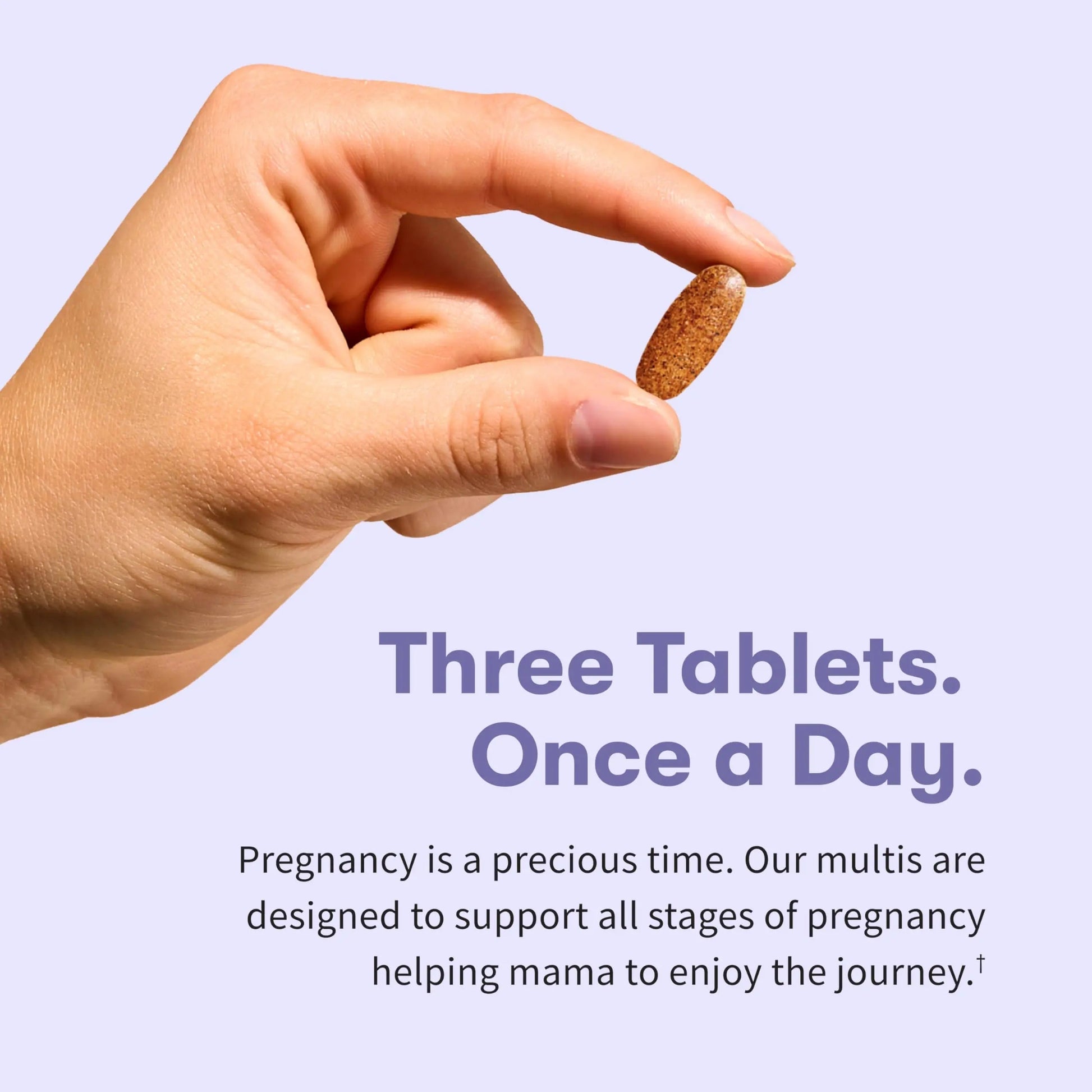 Garden of Life Organics, Prenatal Multi, 90 Vegan Tablets Garden of Life Au supplements