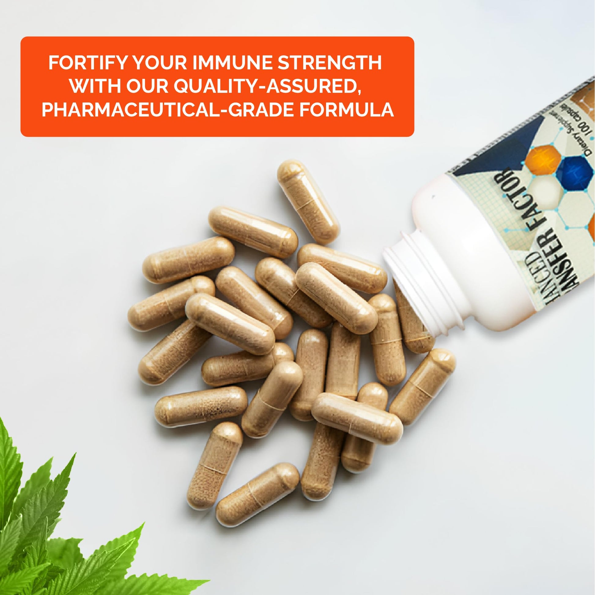 Transfer Factor Enhanced, 100 Natural Capsules, Immune Support - Transfer Factor Multi Immune from Cow Colostrum, Egg Yolk & Special Blend of Mushrooms Dislafarm Au supplements