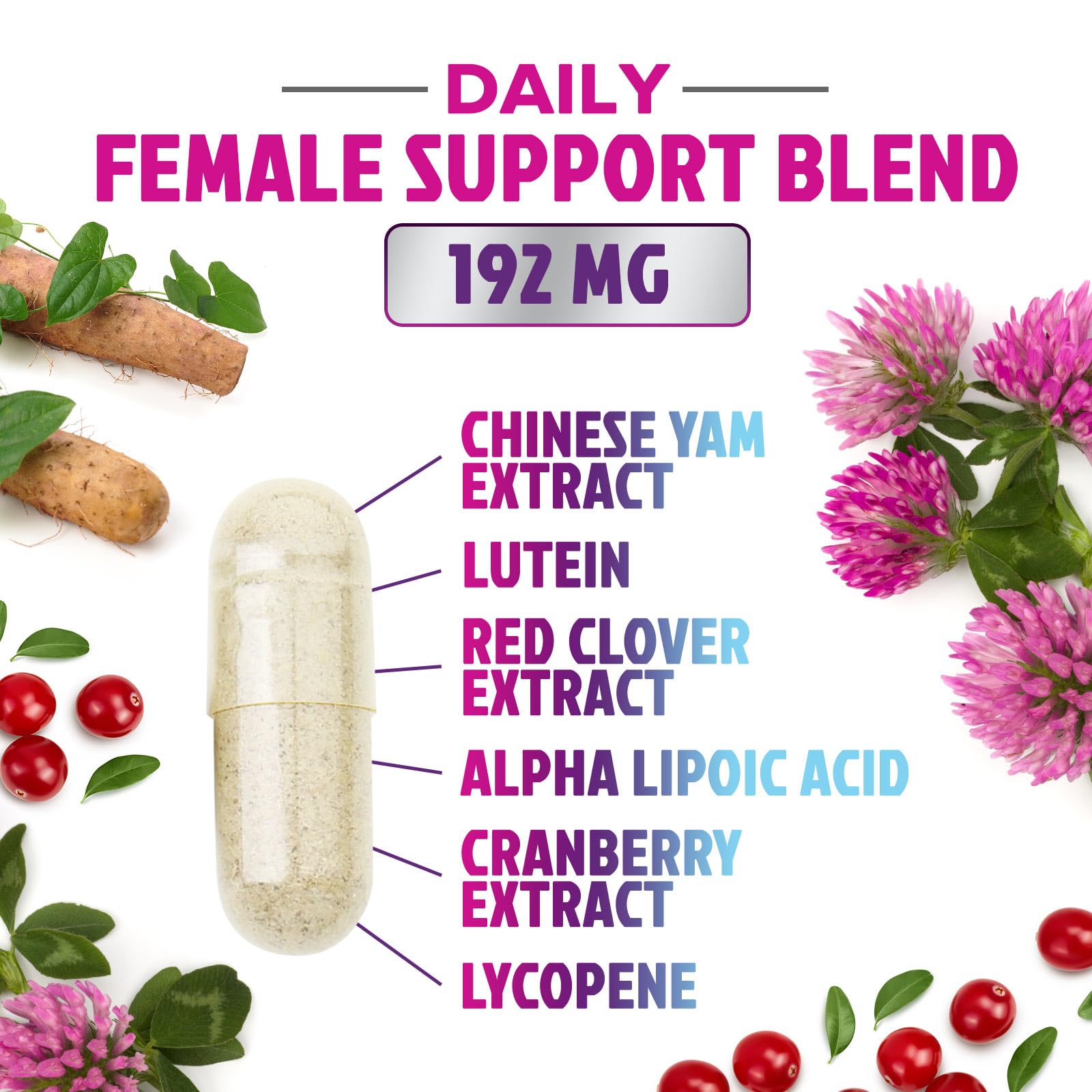 Multivitamin for Women - with Vitamins A, C, D, E, B6, B12, Zinc, Calcium & Magnesium, Womens Daily Multi Vitamin Multimineral Supplement for Bone Health, Energy & Immune Support - 120 Capsules Nature's Nutrition Au supplements