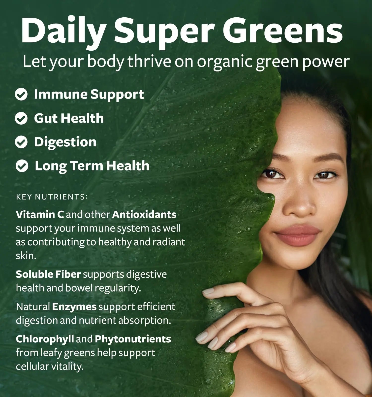 Super Greens & Antioxidants (2-Month Supply) Antioxidant Power Greens Bundle of Organic Super Greens Powder - Complete Superfood (120 Capsules) & Super Antioxidants - Powerful Superfood (120 Capsules) Healths Harmony Au supplements