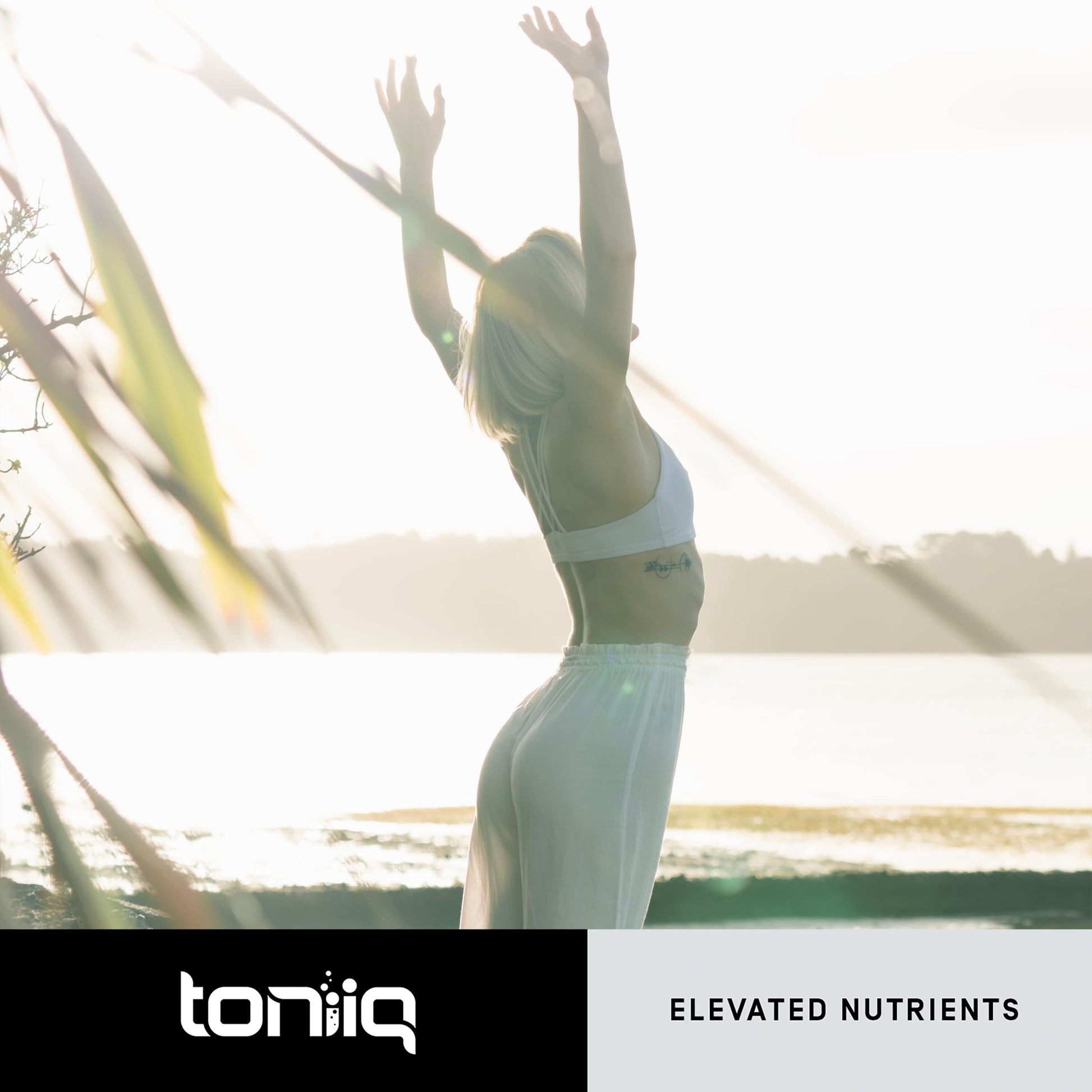 Toniiq Ultra High Purity Fisetin 500mg - 98%+ Higly Purified & Bioavailable Fisetin Supplement with MCT Oil for Absorption - Third-Party Tested Senolytic Supplements for Aging Support - 60 Capsules Toniiq Au supplements