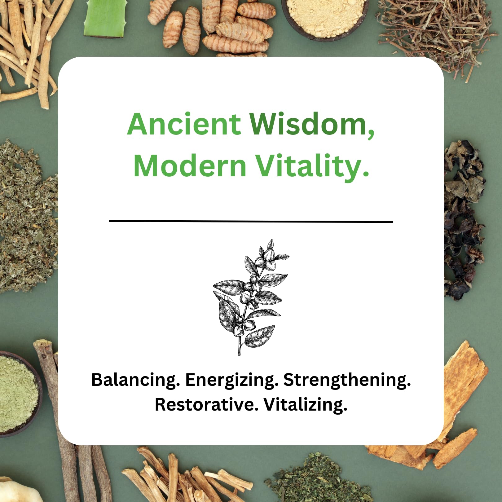 Paradise Herbs, Imperial Adaptogens, with Ashwagandha, Astragalus, Rhodiola, Proprietary Adaptogen Blend for Stress Support, Focus & Energy, 60 Vegetarian Capsules Paradise Herbs Au supplements
