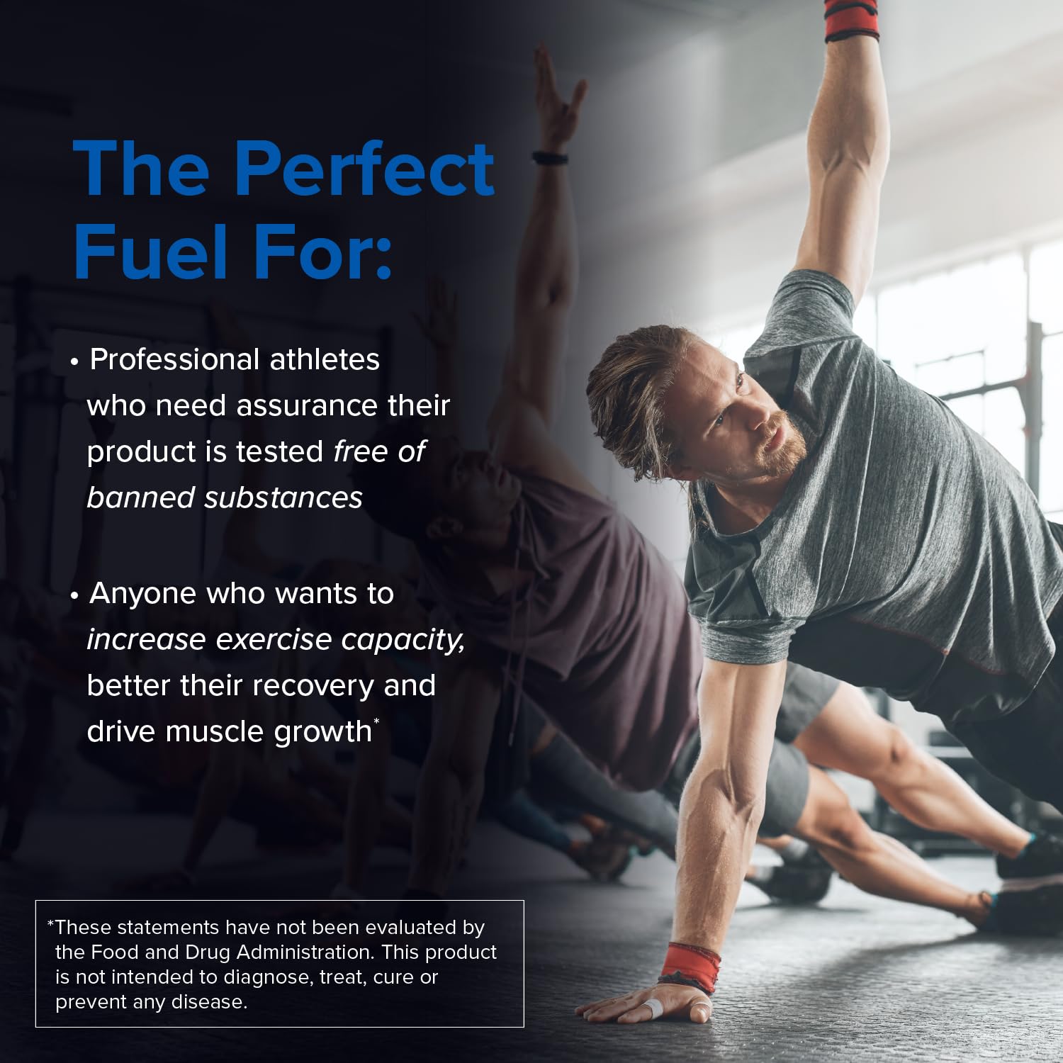 Designs for Sport Creatine Monohydrate Powder - NSF Certified for Sport Creatine Designs for Sport Au supplements